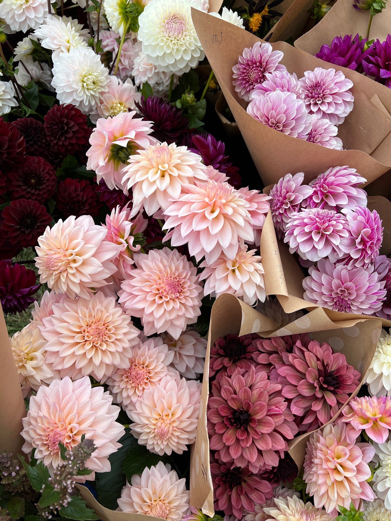 PORTFOL_FT - 126.jpeg