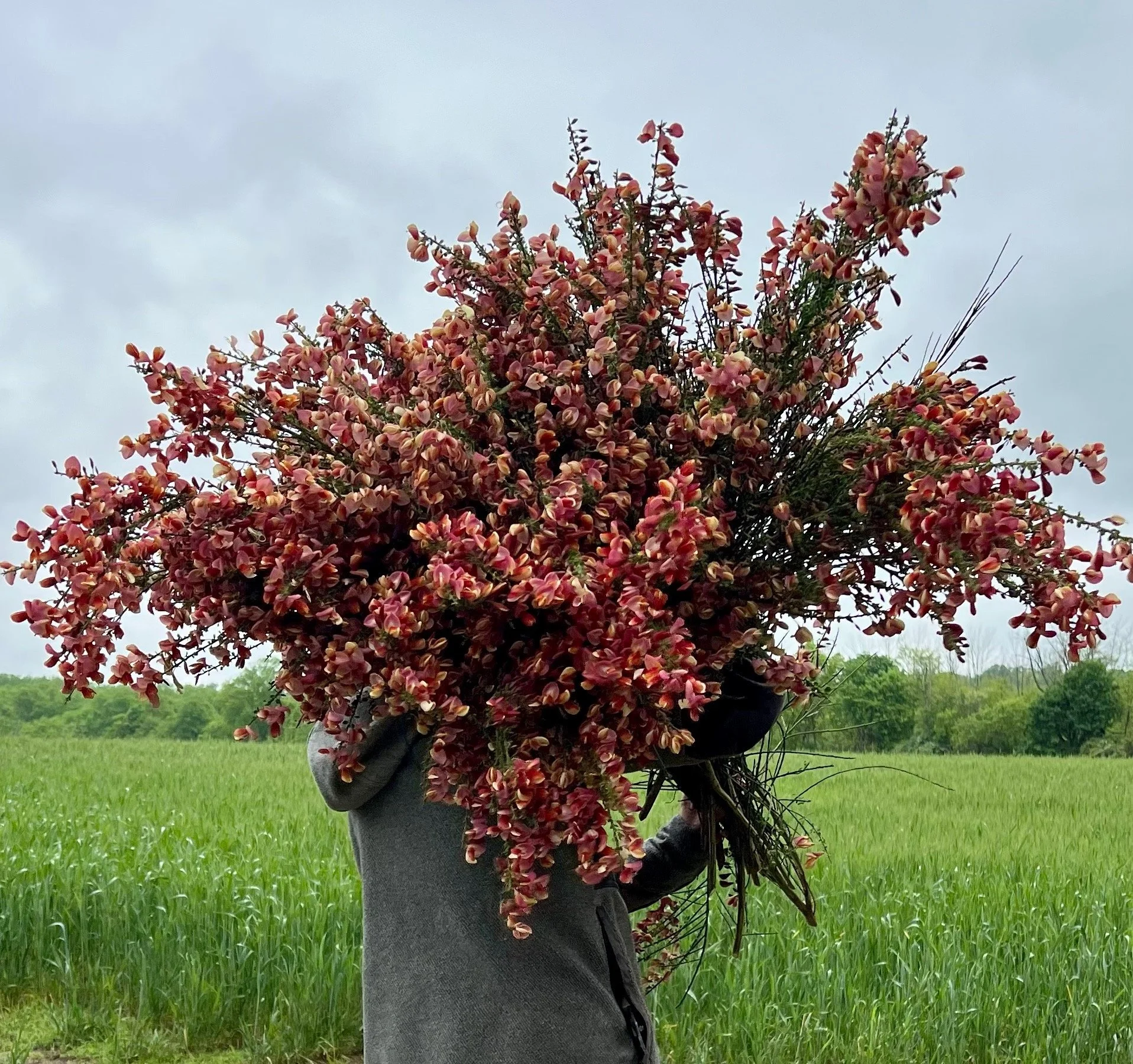 PORTFOL_FT - 137.jpeg