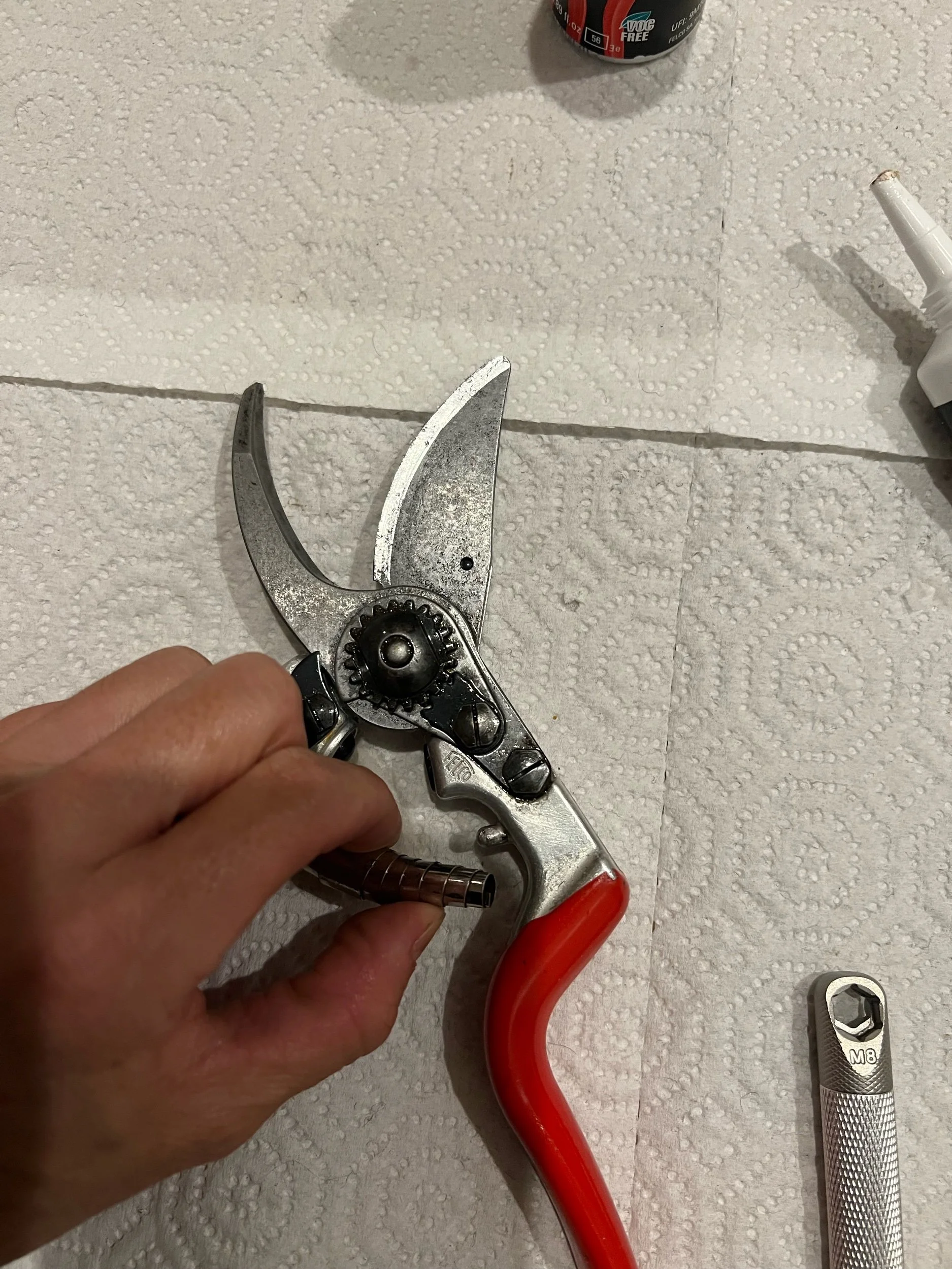 How to Clean Rust off Felco Pruners: Expert Tips and Tricks