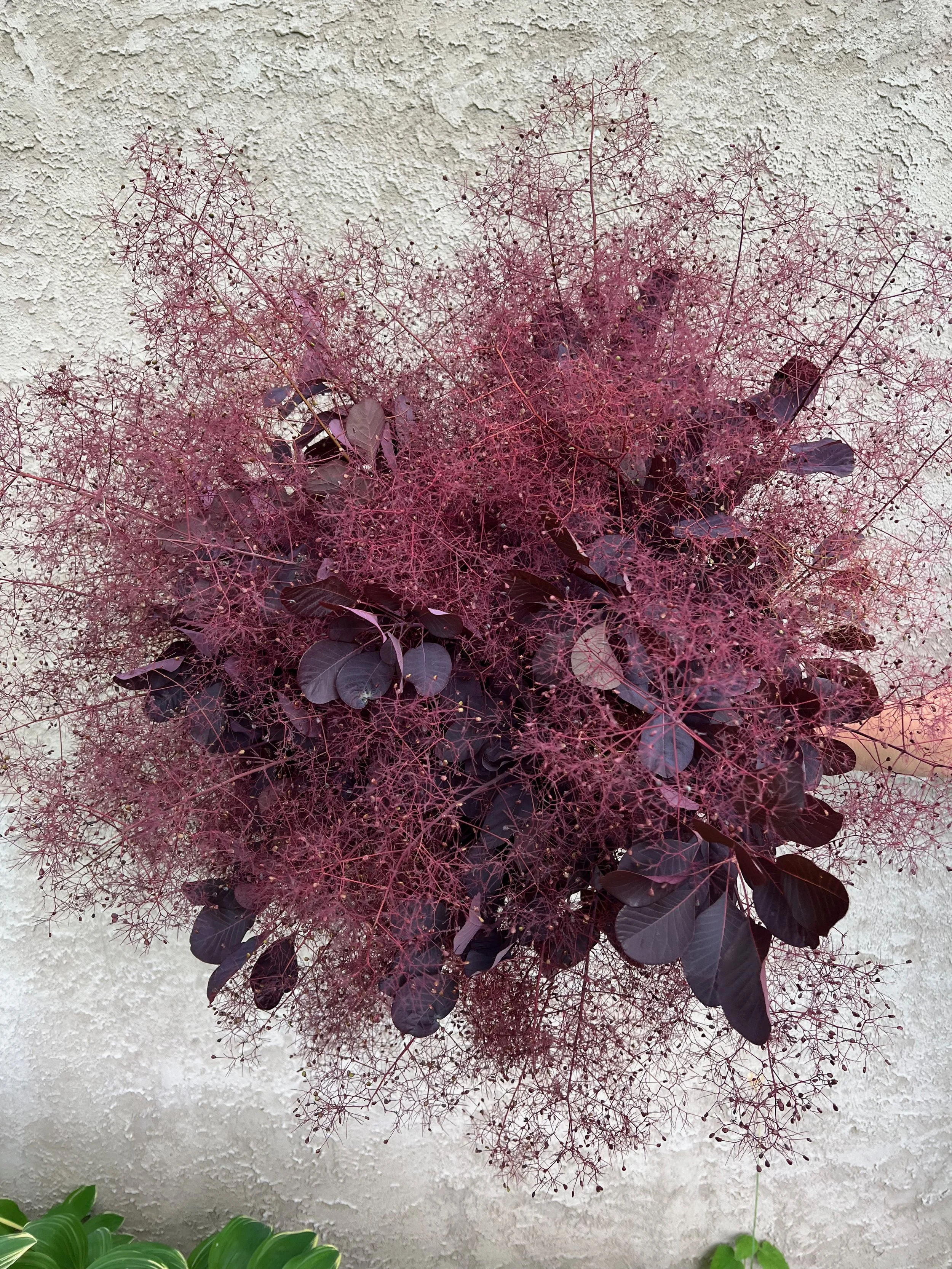 PORTFOL_FT - 2 (4).jpeg