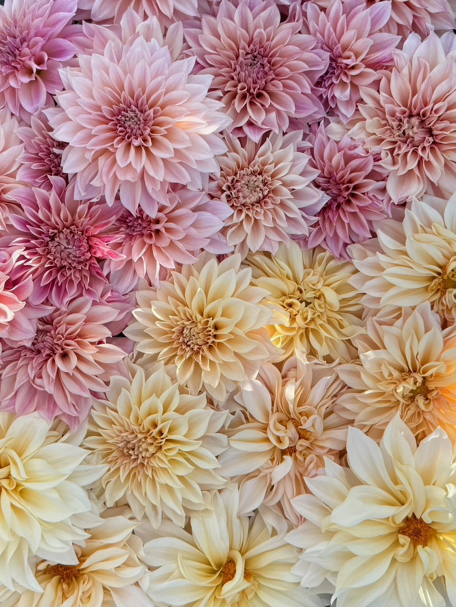 PORTFOL_FT - 169.jpeg