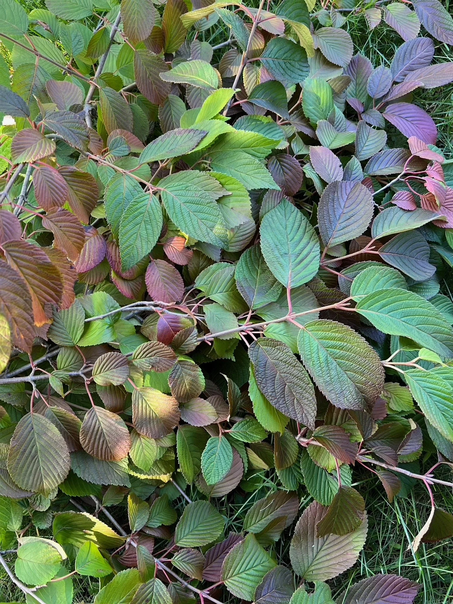 PORTFOL_FT - 122.jpeg