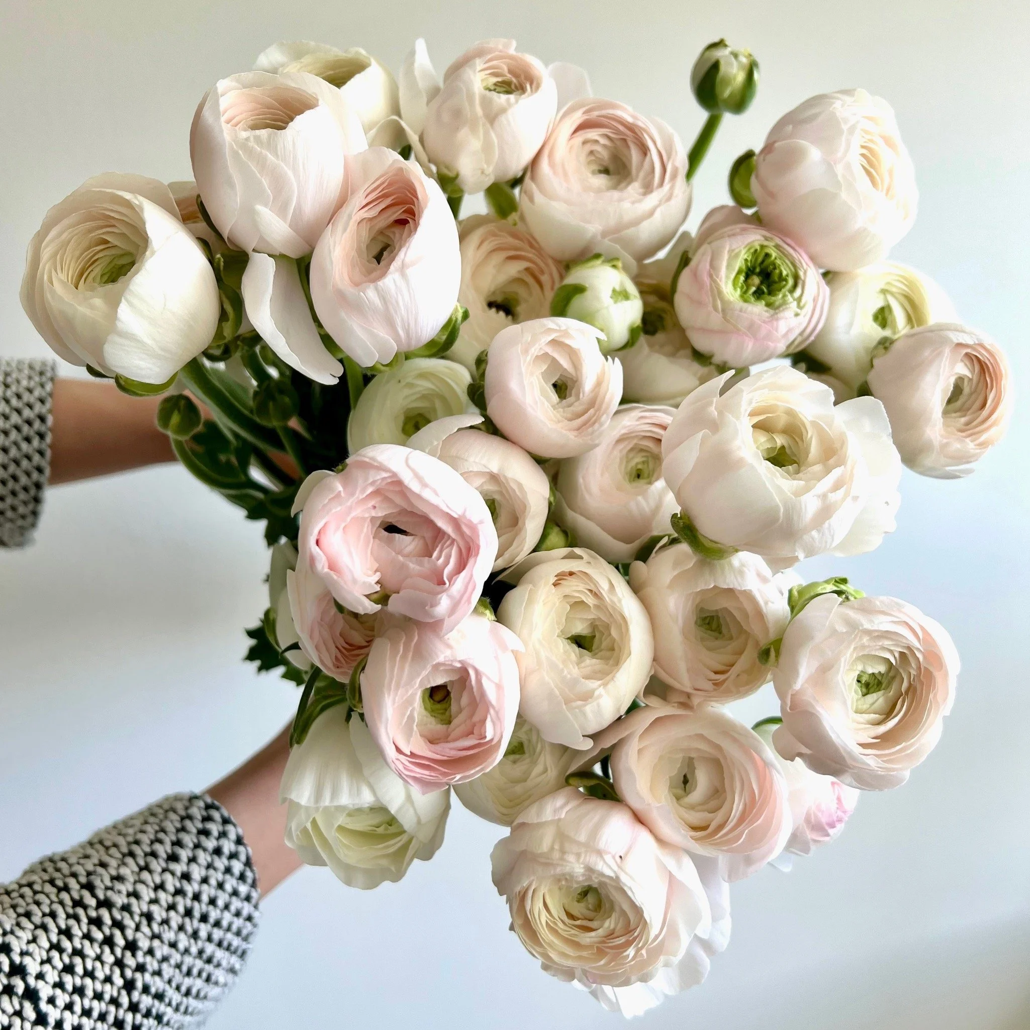 PORTFOL_FT - 71.jpeg