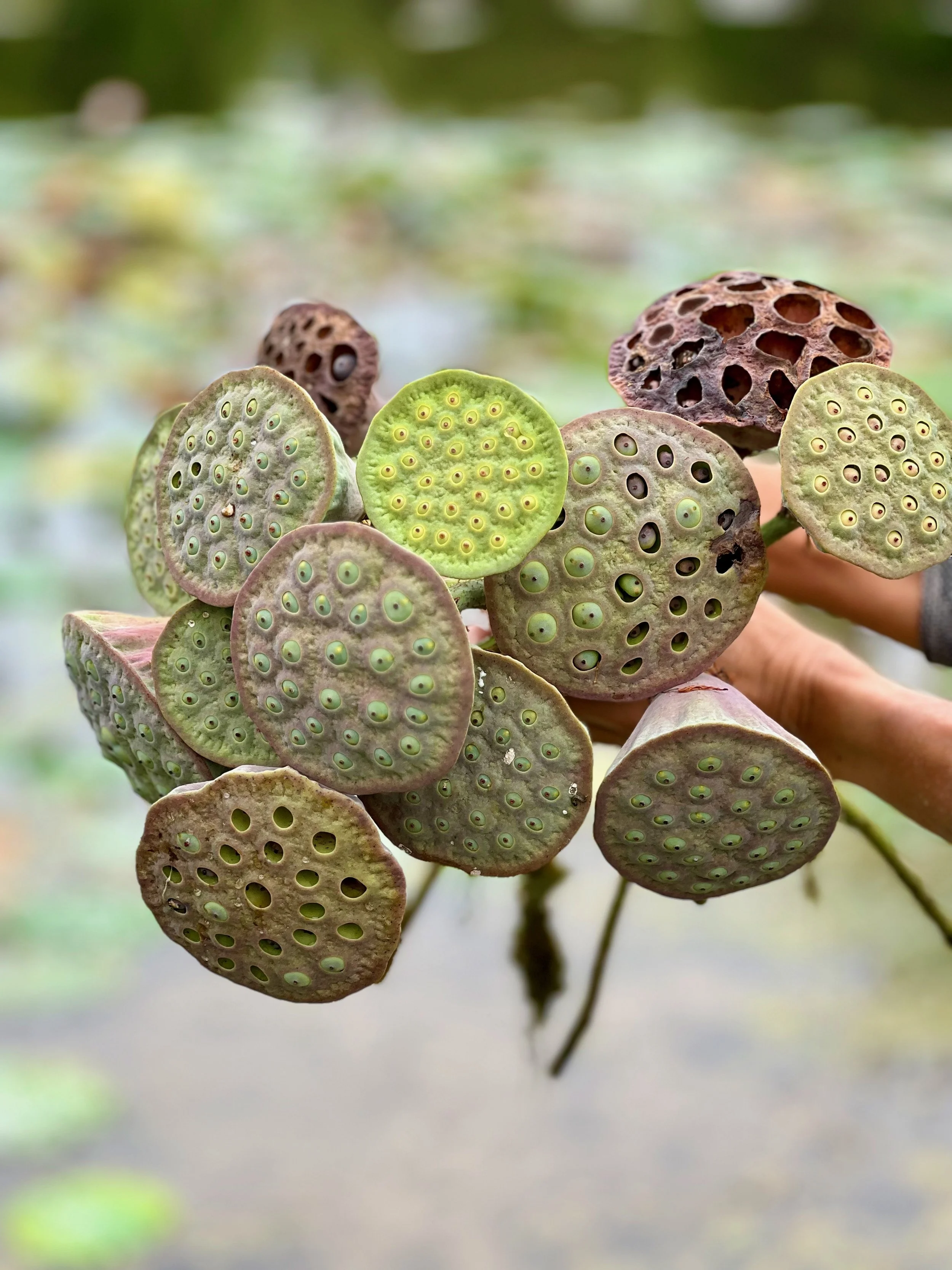 PORTFOL_FT - 1 (19).jpeg