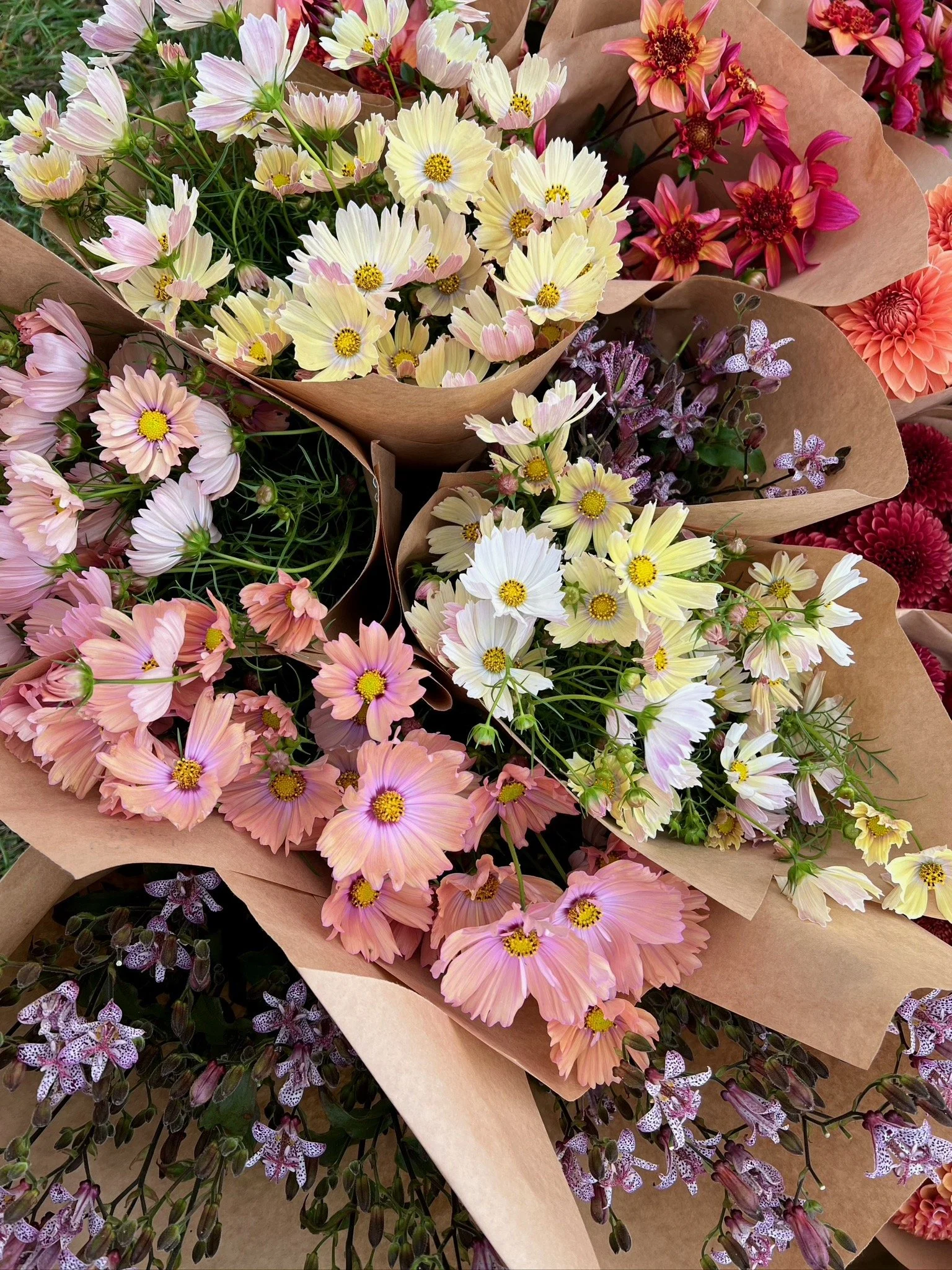 PORTFOL_FT - 148.jpeg