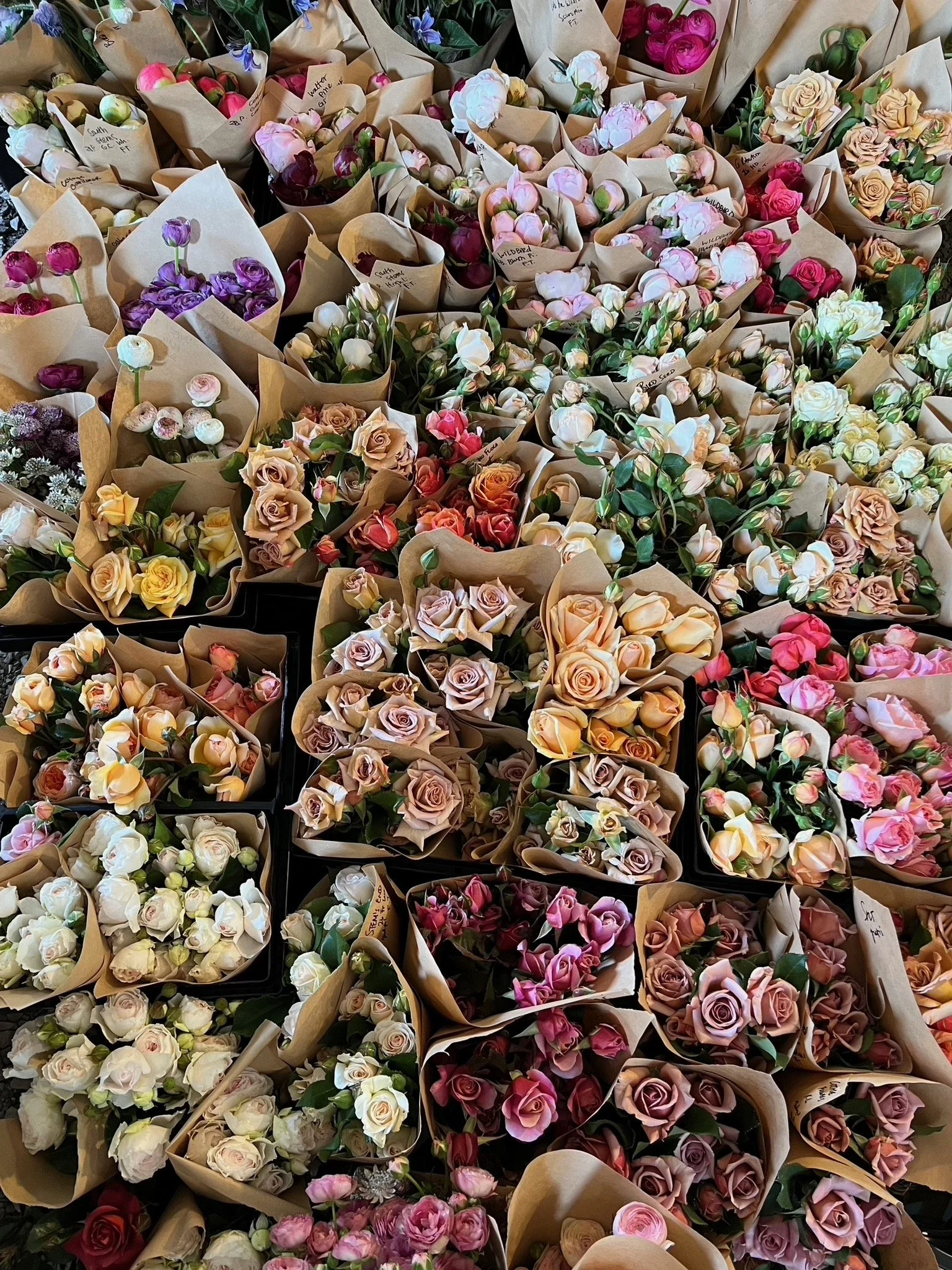 PORTFOL_FT - 112.jpeg