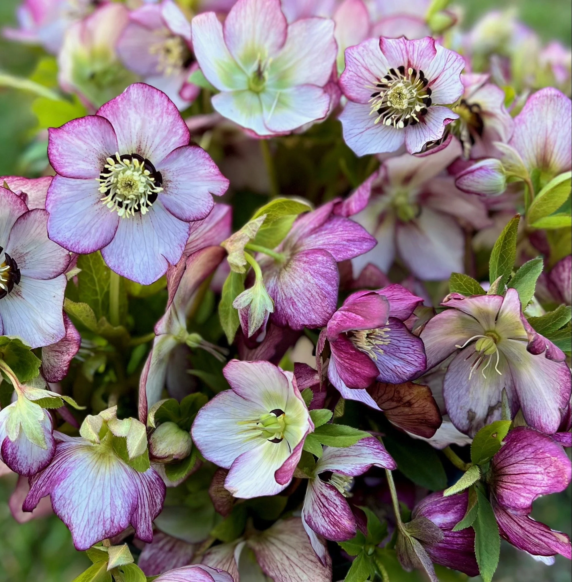 PORTFOL_FT - 101.jpeg