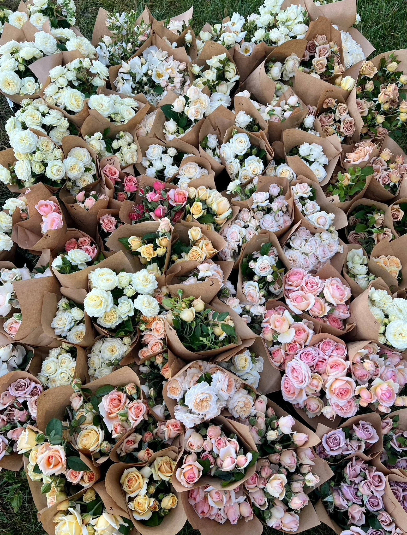 PORTFOL_FT - 146.jpeg