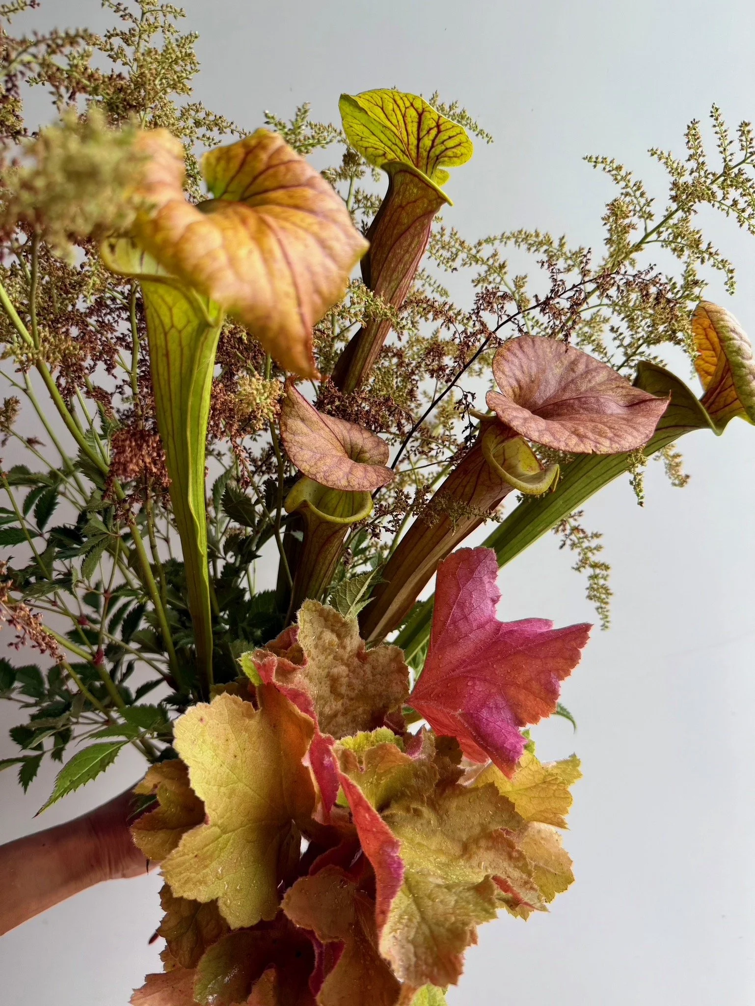 PORTFOL_FT - 159.jpeg