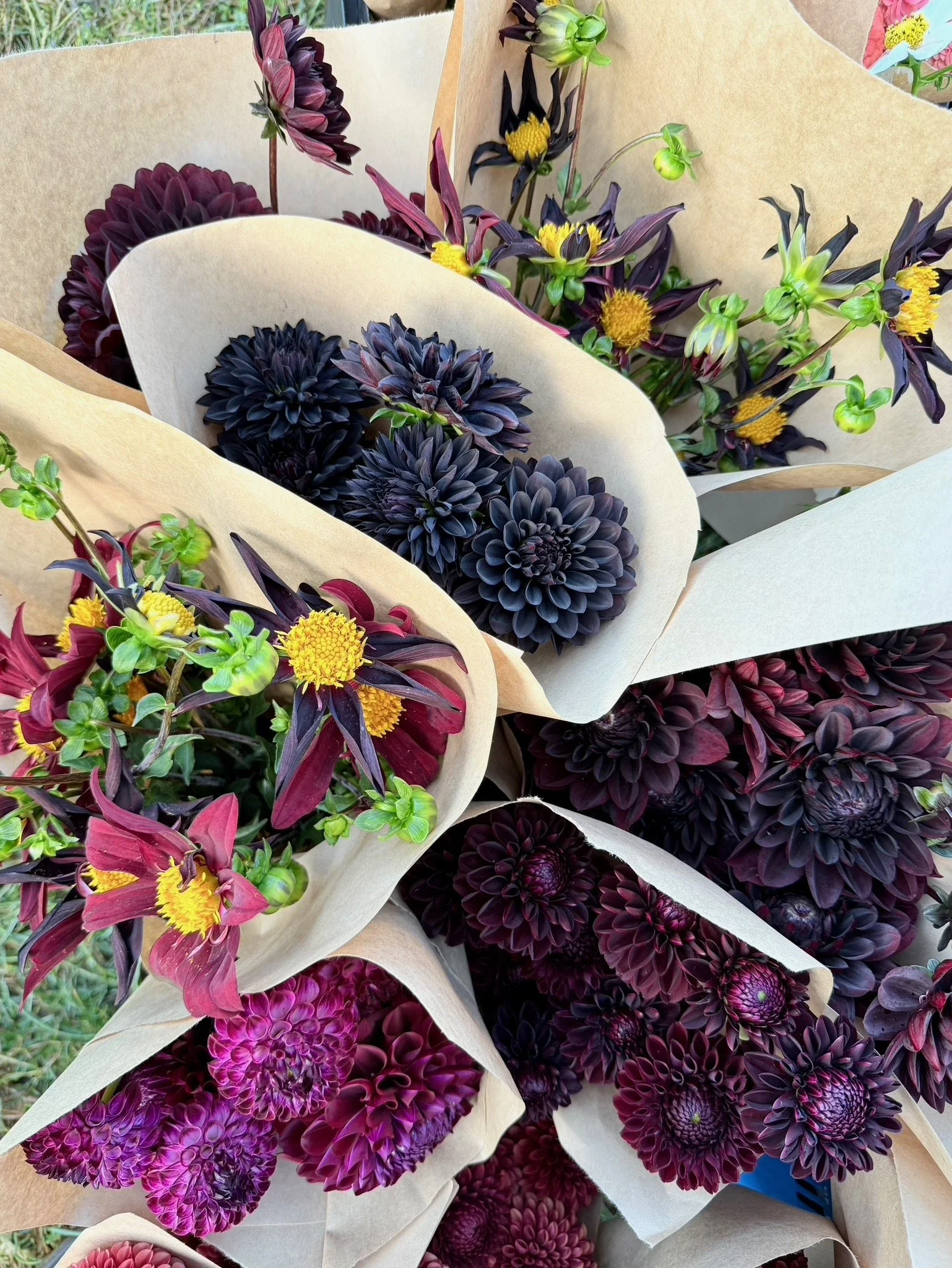 PORTFOL_FT - 166.jpeg