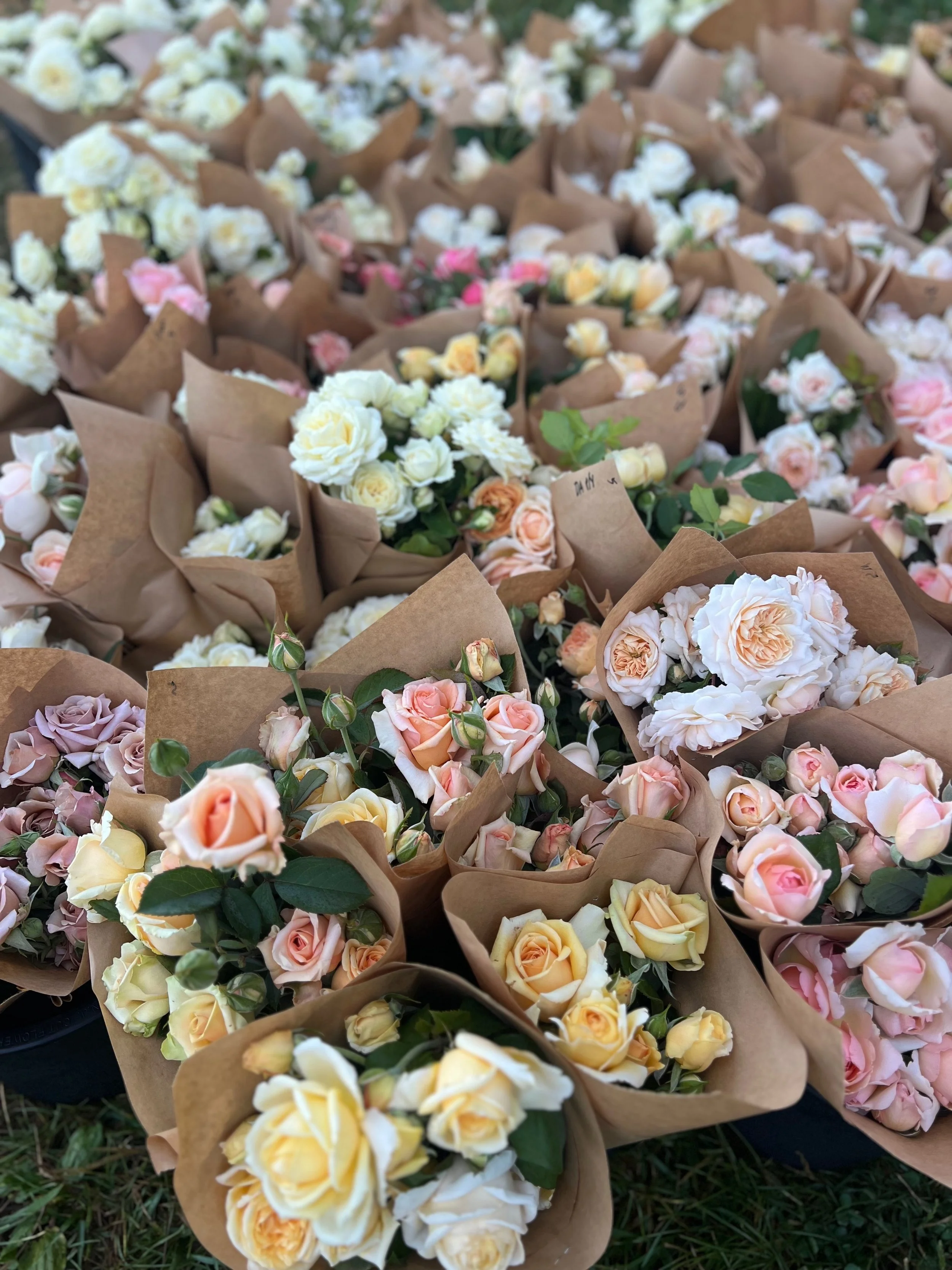 PORTFOL_FT - 1 (23).jpeg