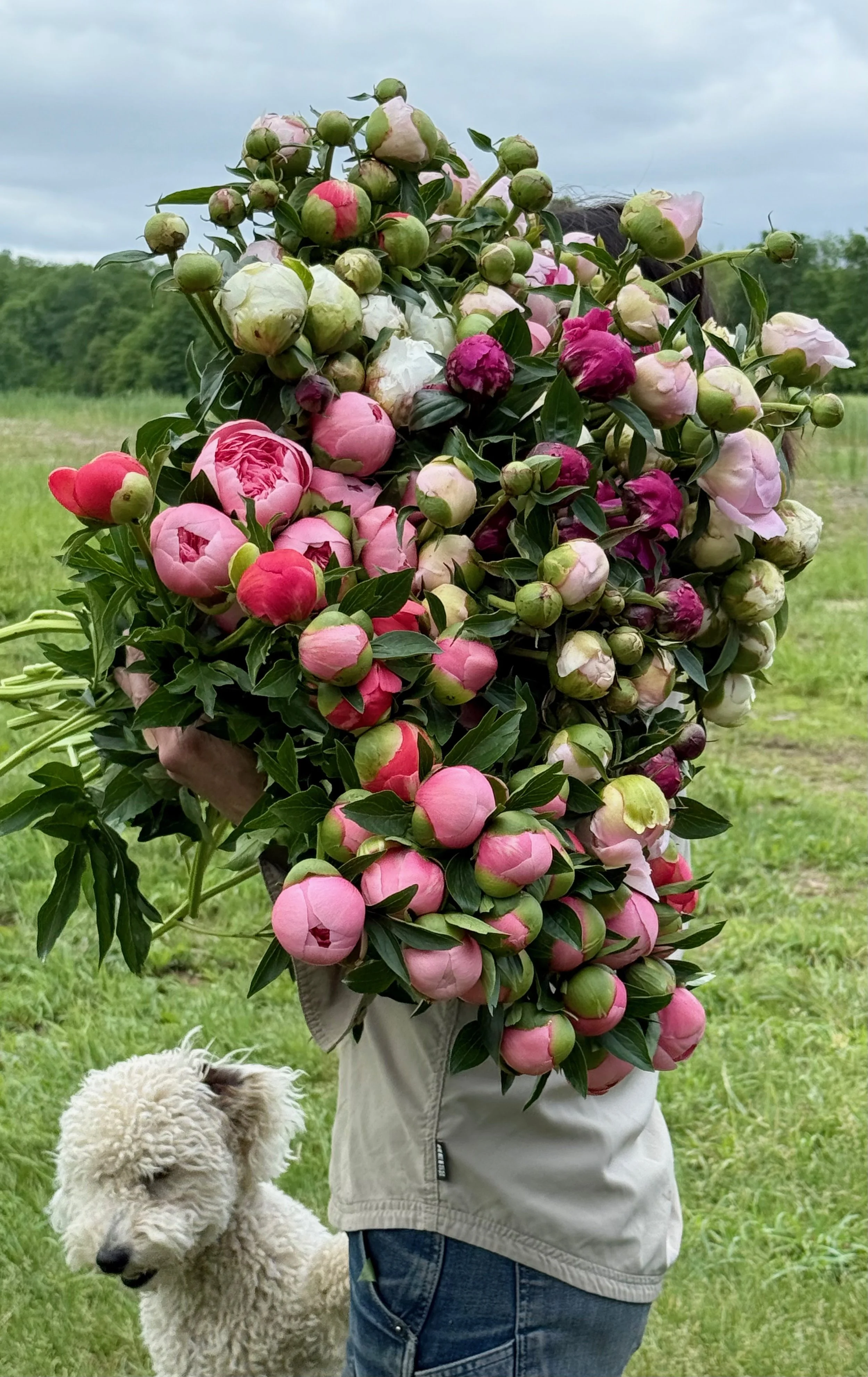 PORTFOL_FT - 1 (3).jpeg