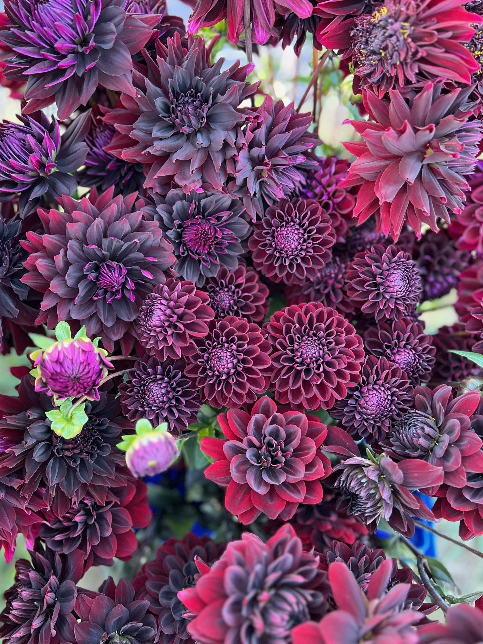 PORTFOL_FT - 150.jpeg