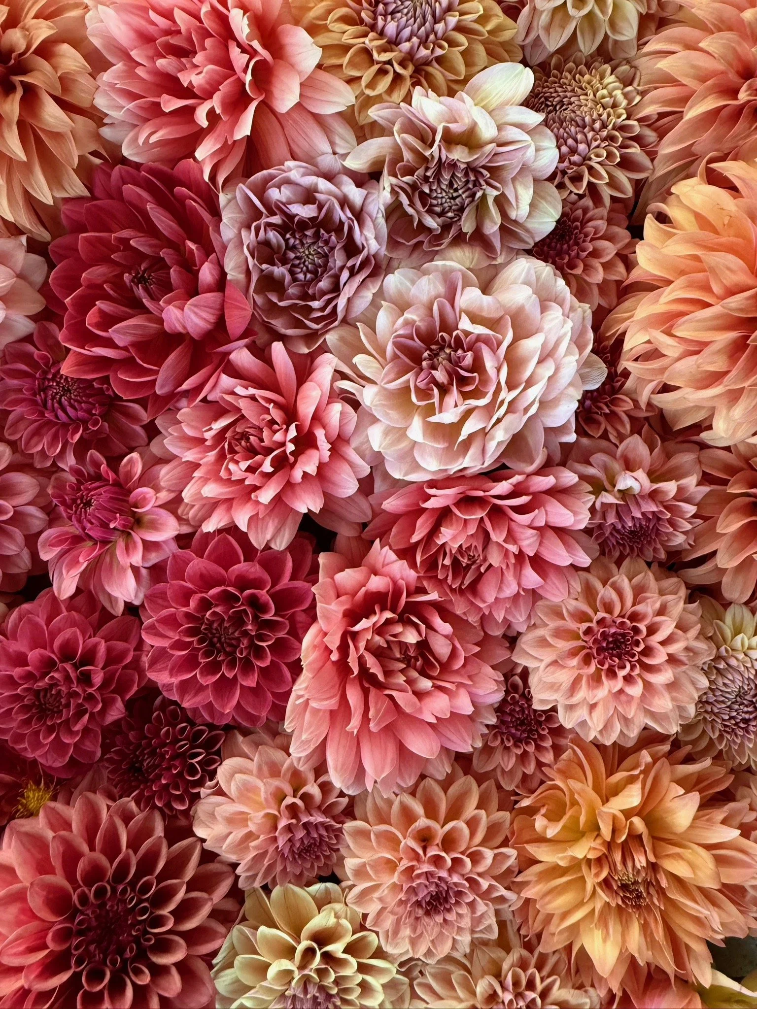 PORTFOL_FT - 165.jpeg