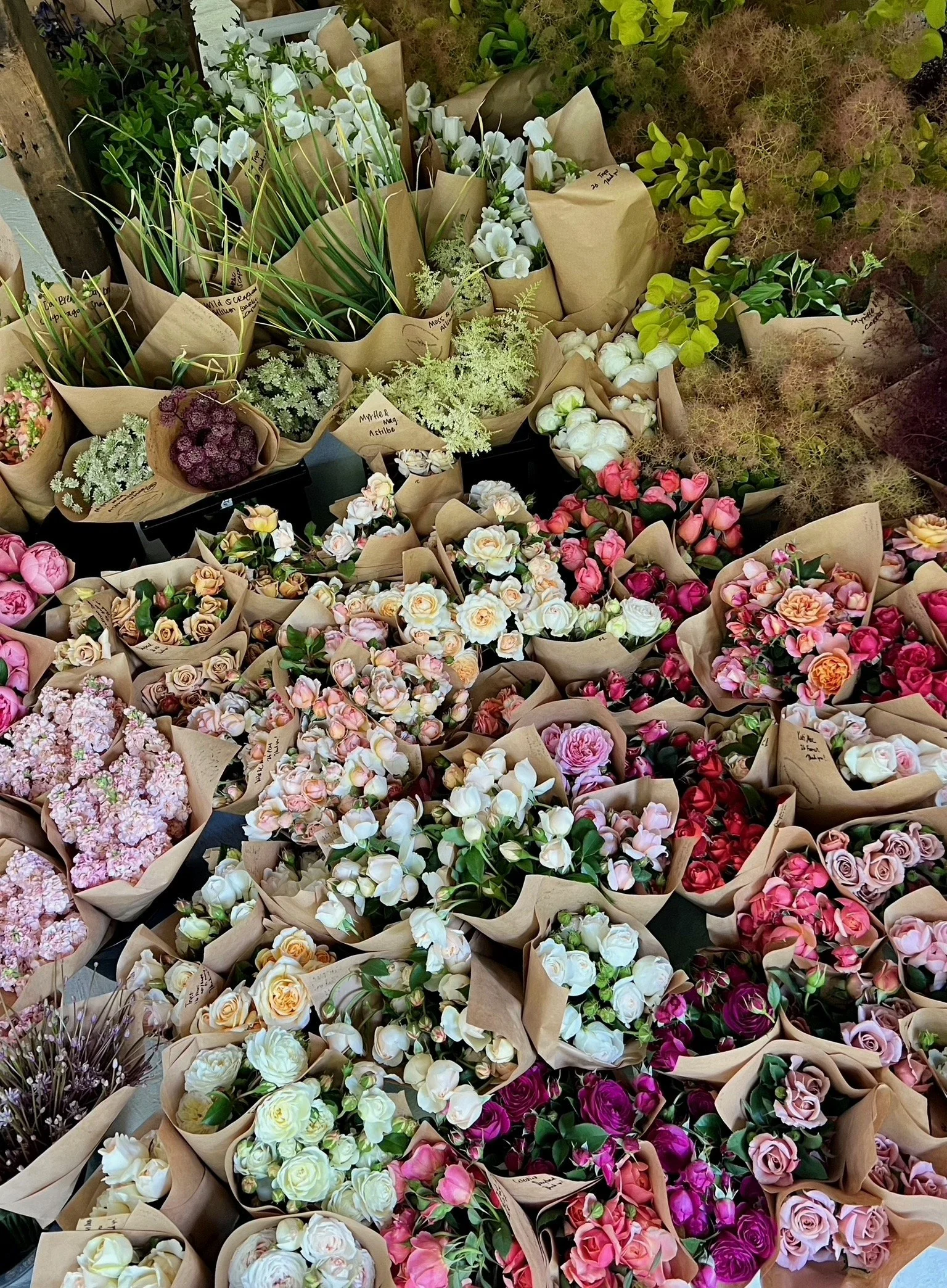 PORTFOL_FT - 145.jpeg