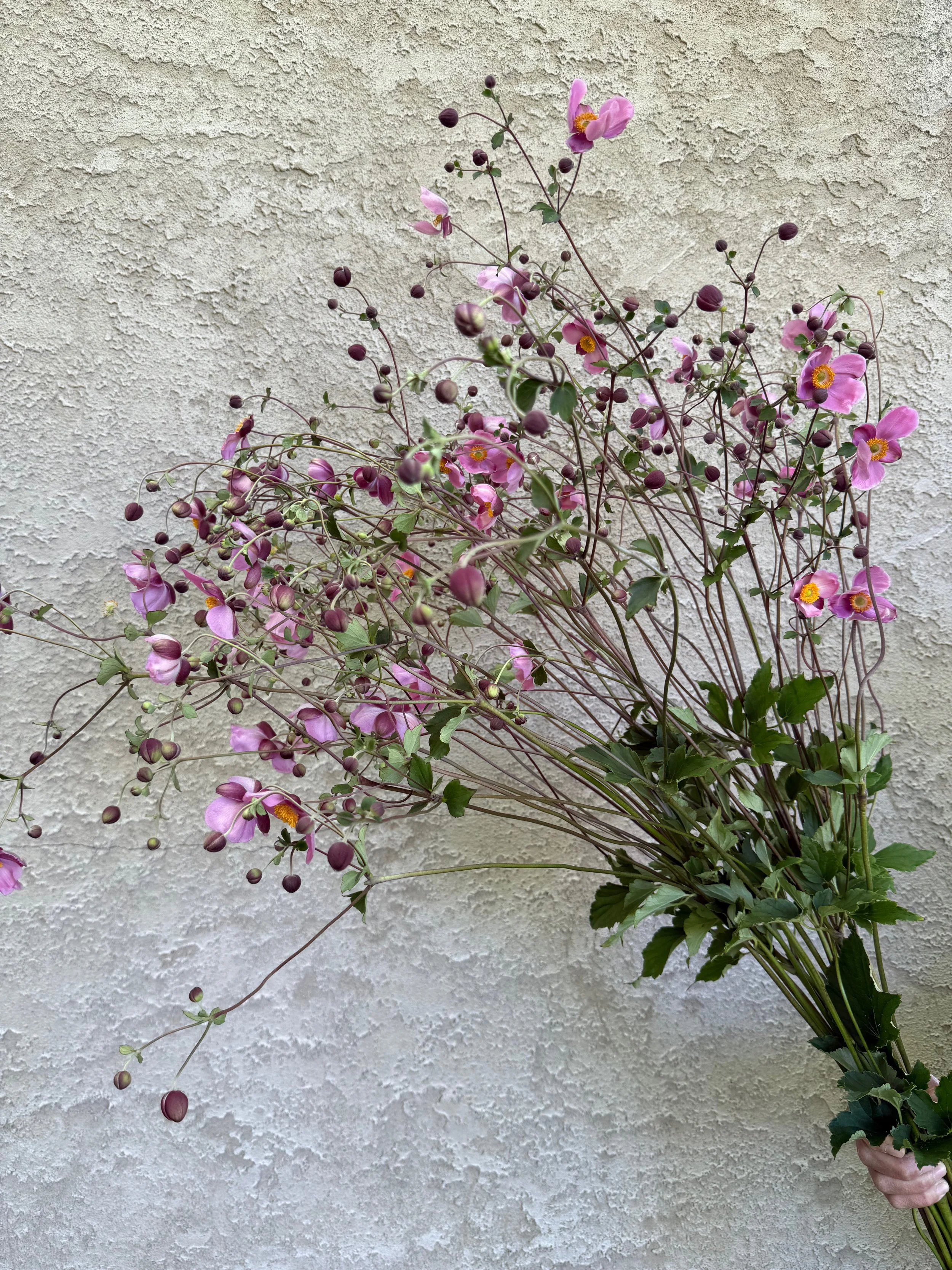 PORTFOL_FT - 1 (2).jpeg