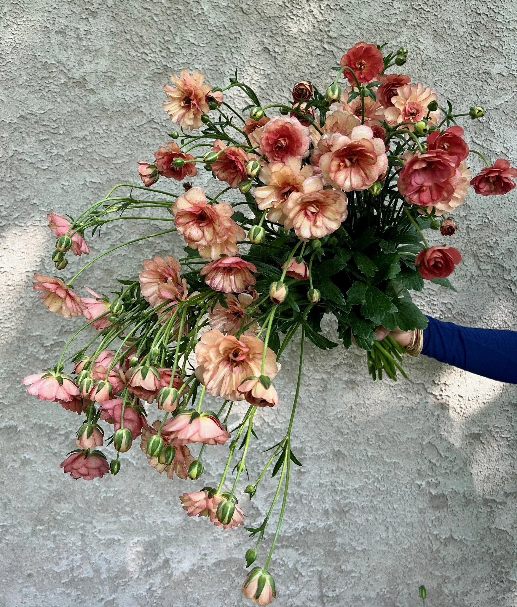 PORTFOL_FT - 140.jpeg