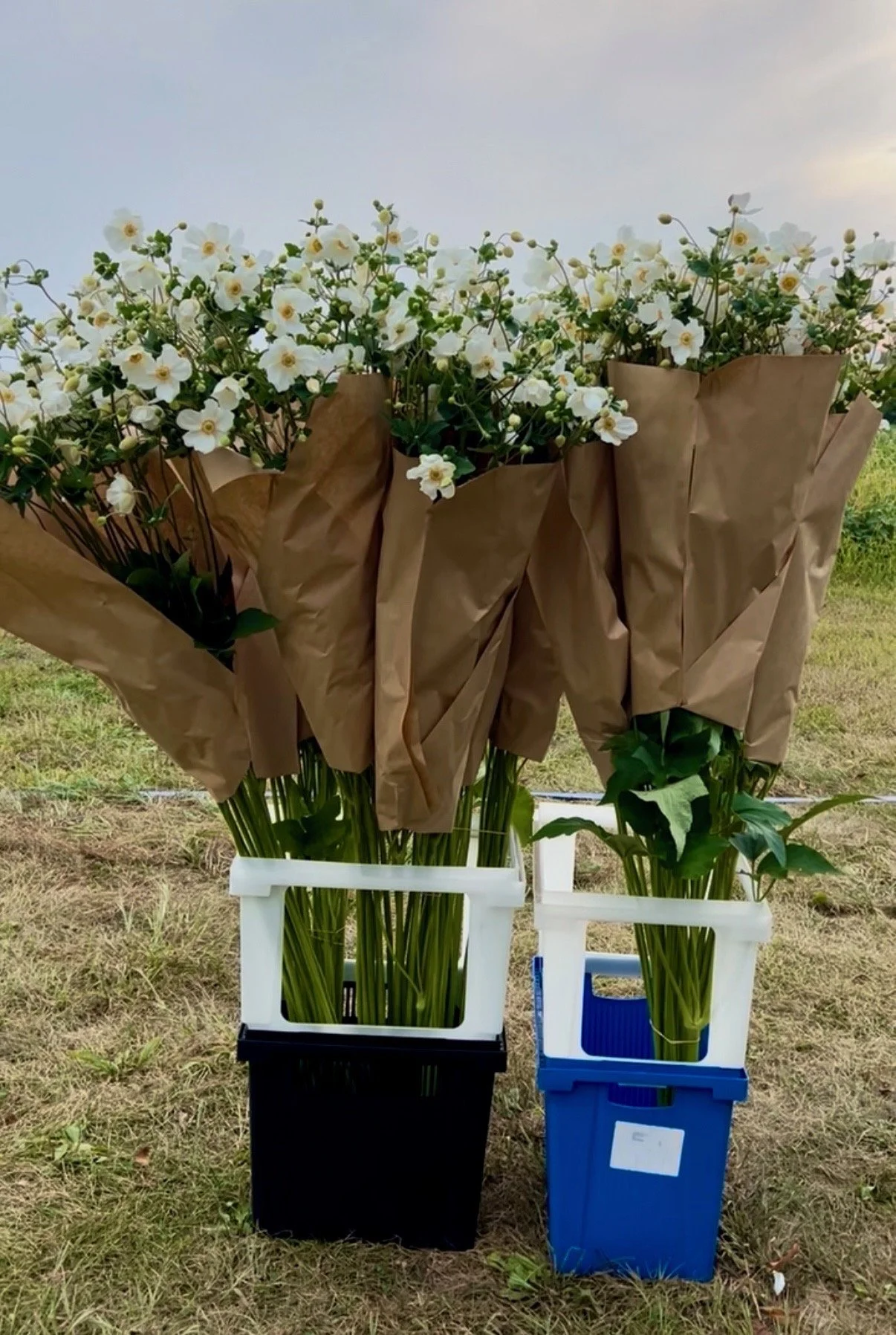 PORTFOL_FT - 173.jpeg