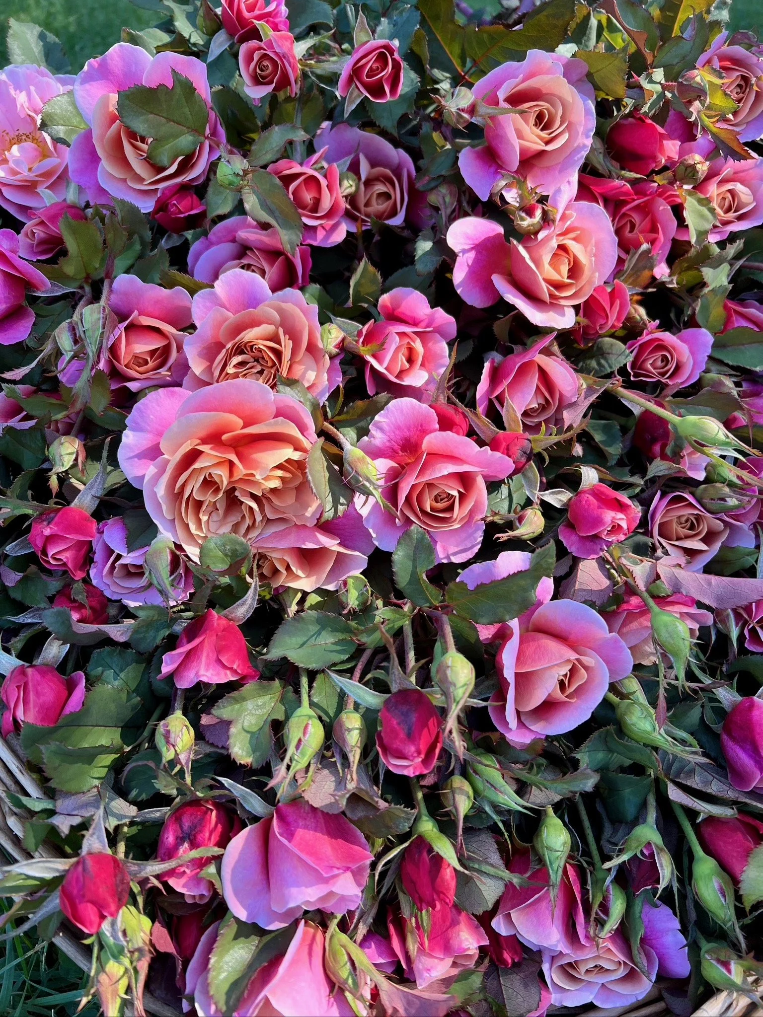 PORTFOL_FT - 119.jpeg