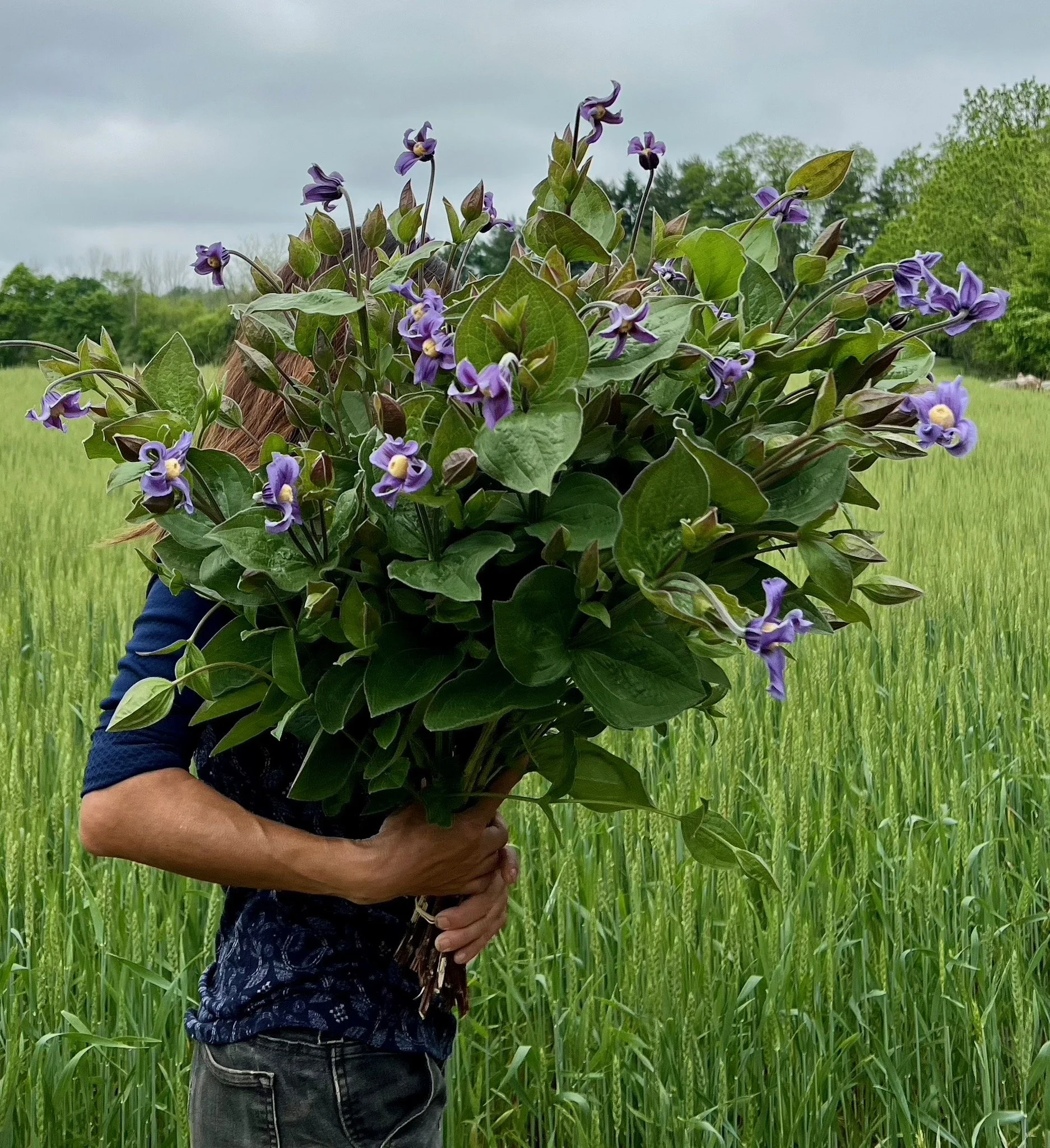 PORTFOL_FT - 138.jpeg