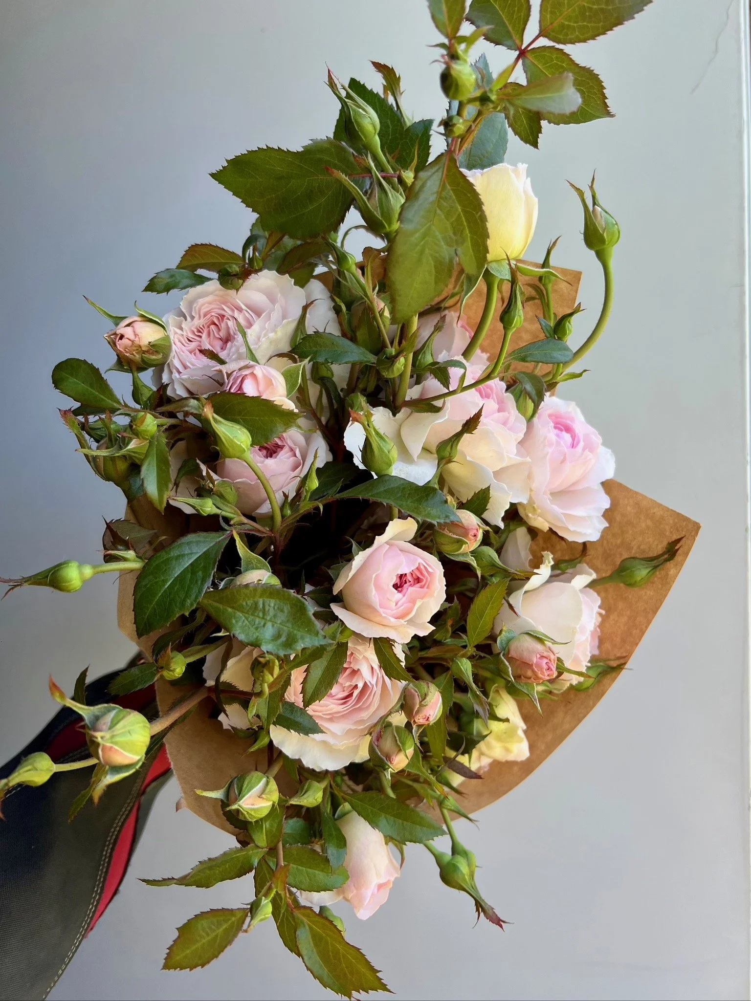 PORTFOL_FT - 141.jpeg