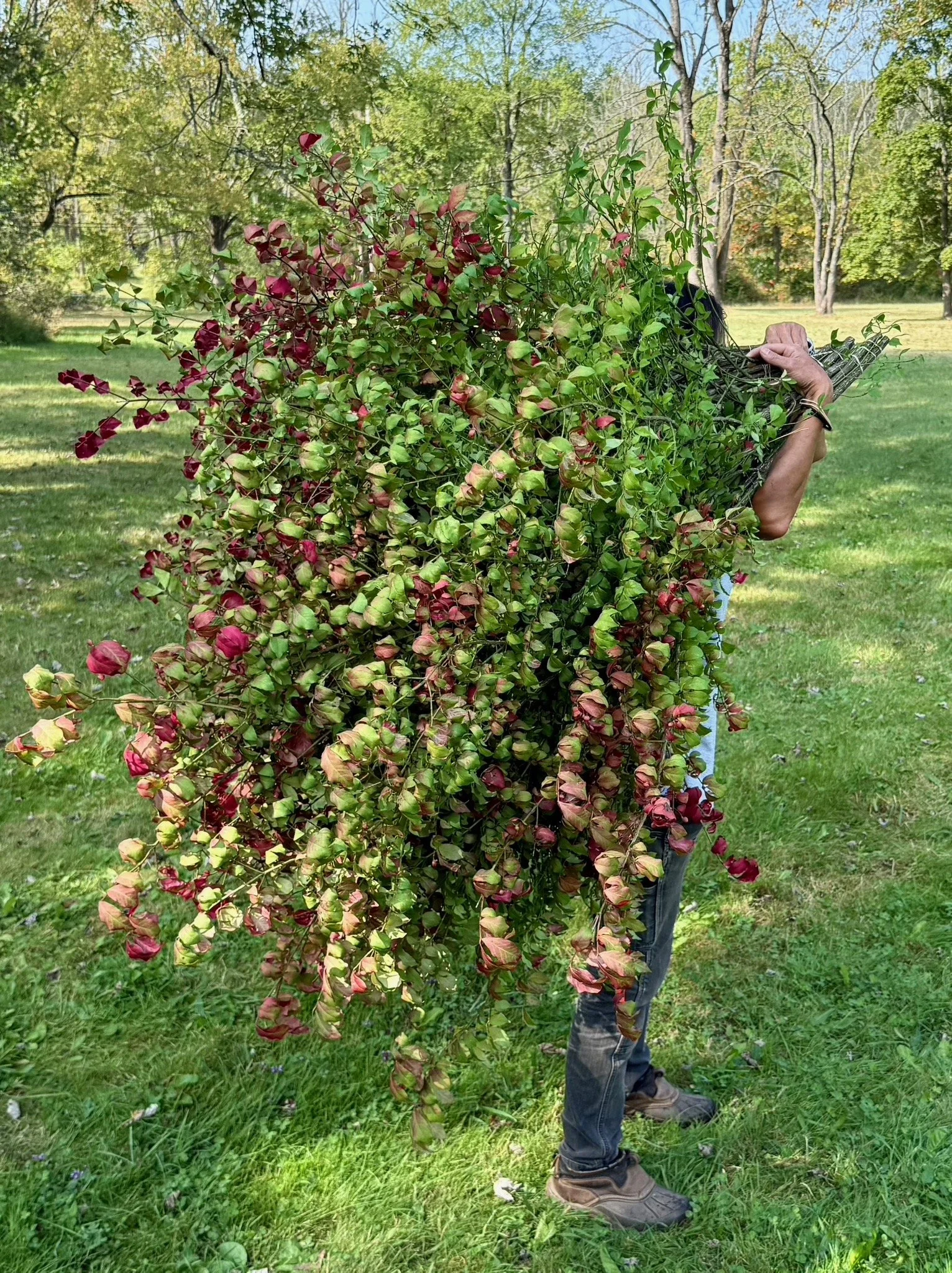 PORTFOL_FT - 174.jpeg