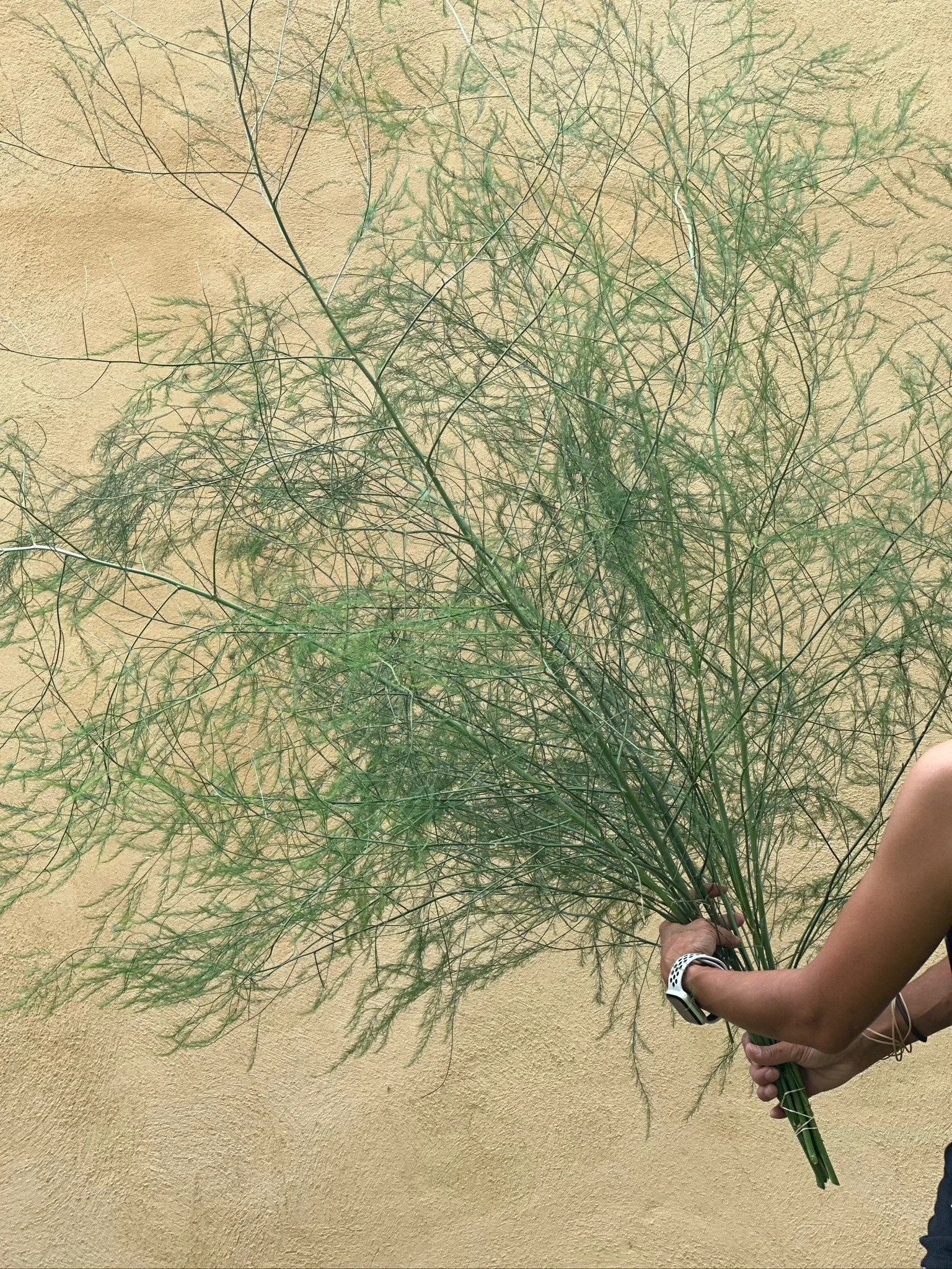 PORTFOL_FT - 117.jpeg