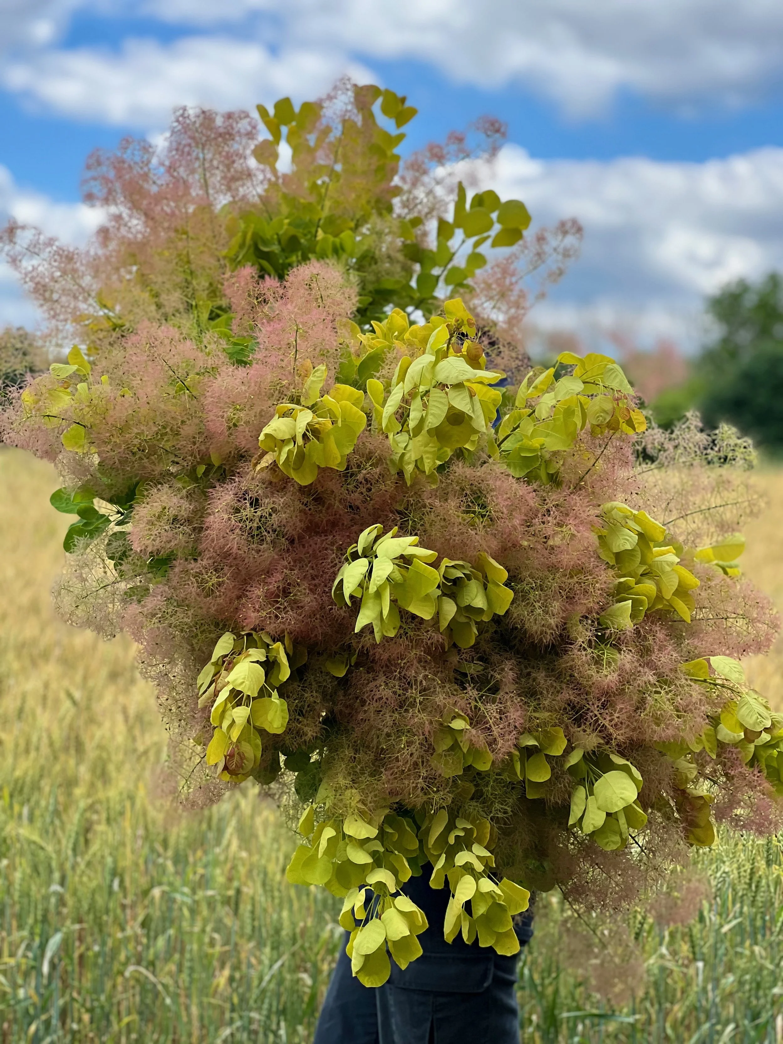 PORTFOL_FT - 1 (8).jpeg