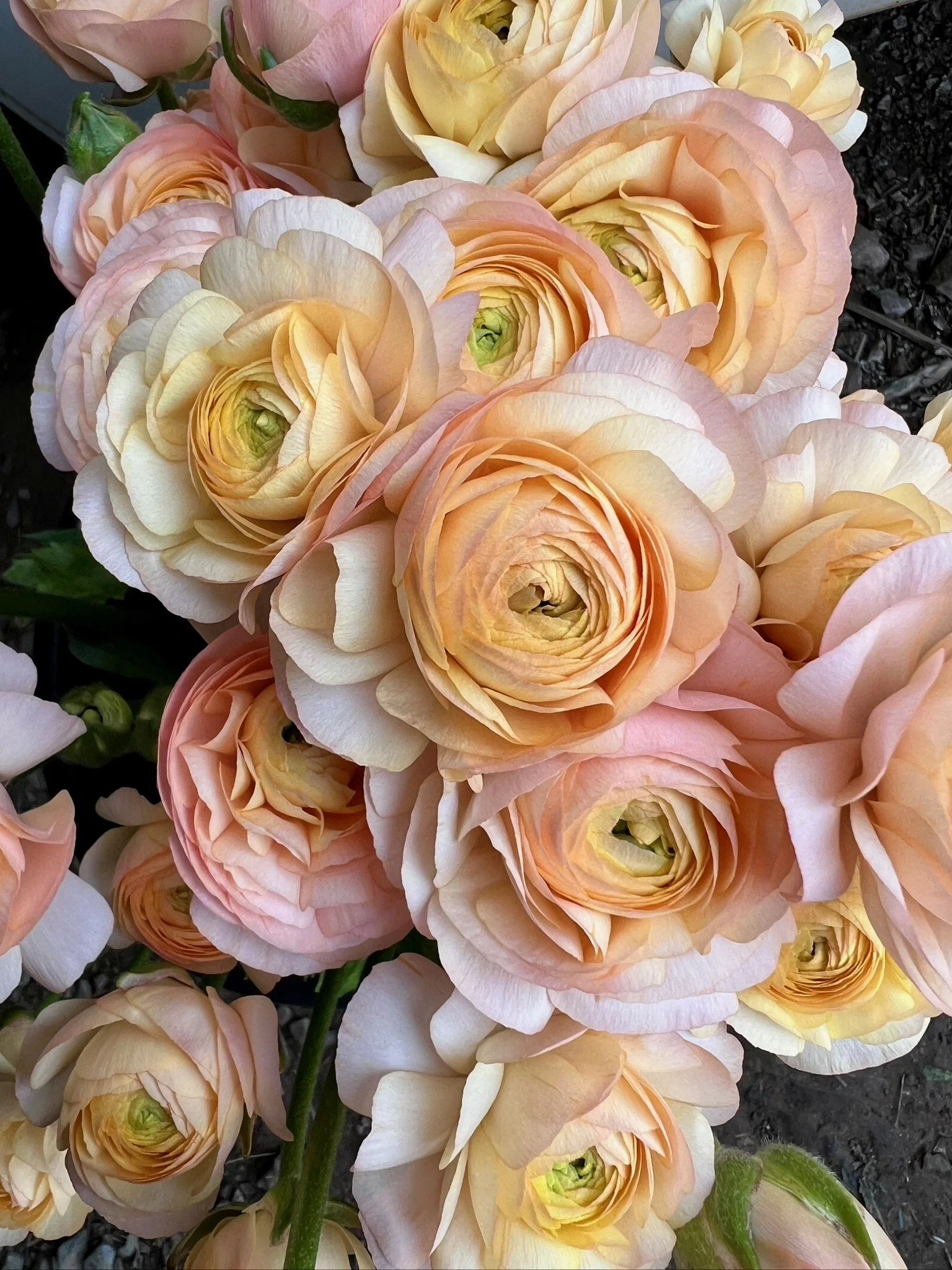 PORTFOL_FT - 104.jpeg