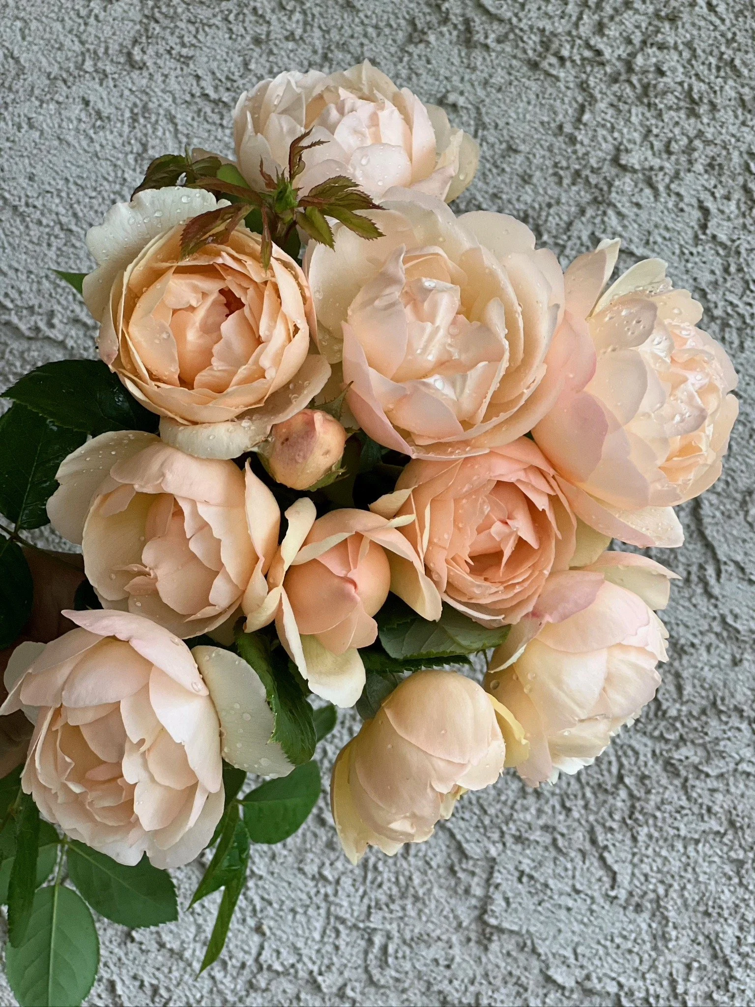 PORTFOL_FT - 84.jpeg