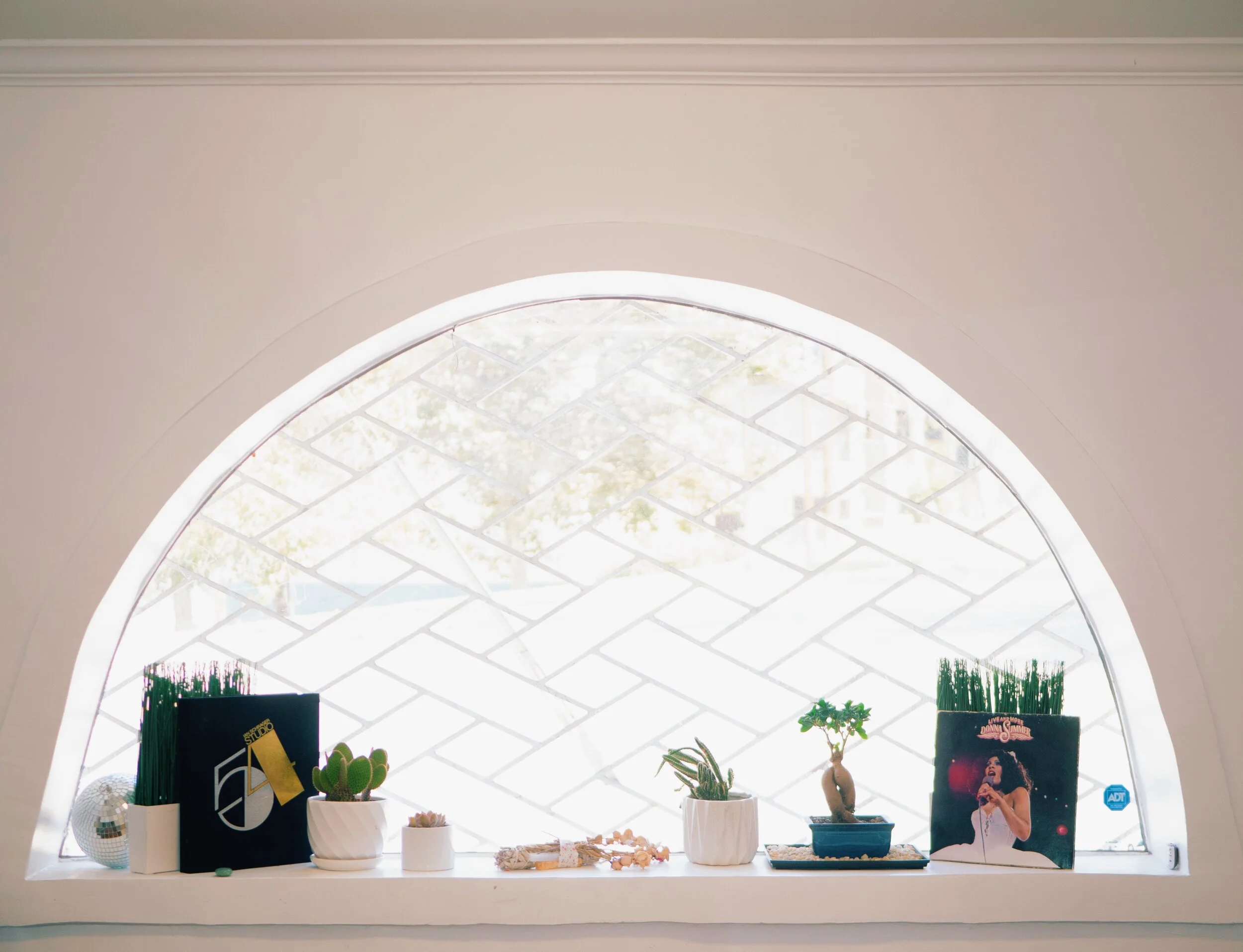 photo by Danielle Cheeseman