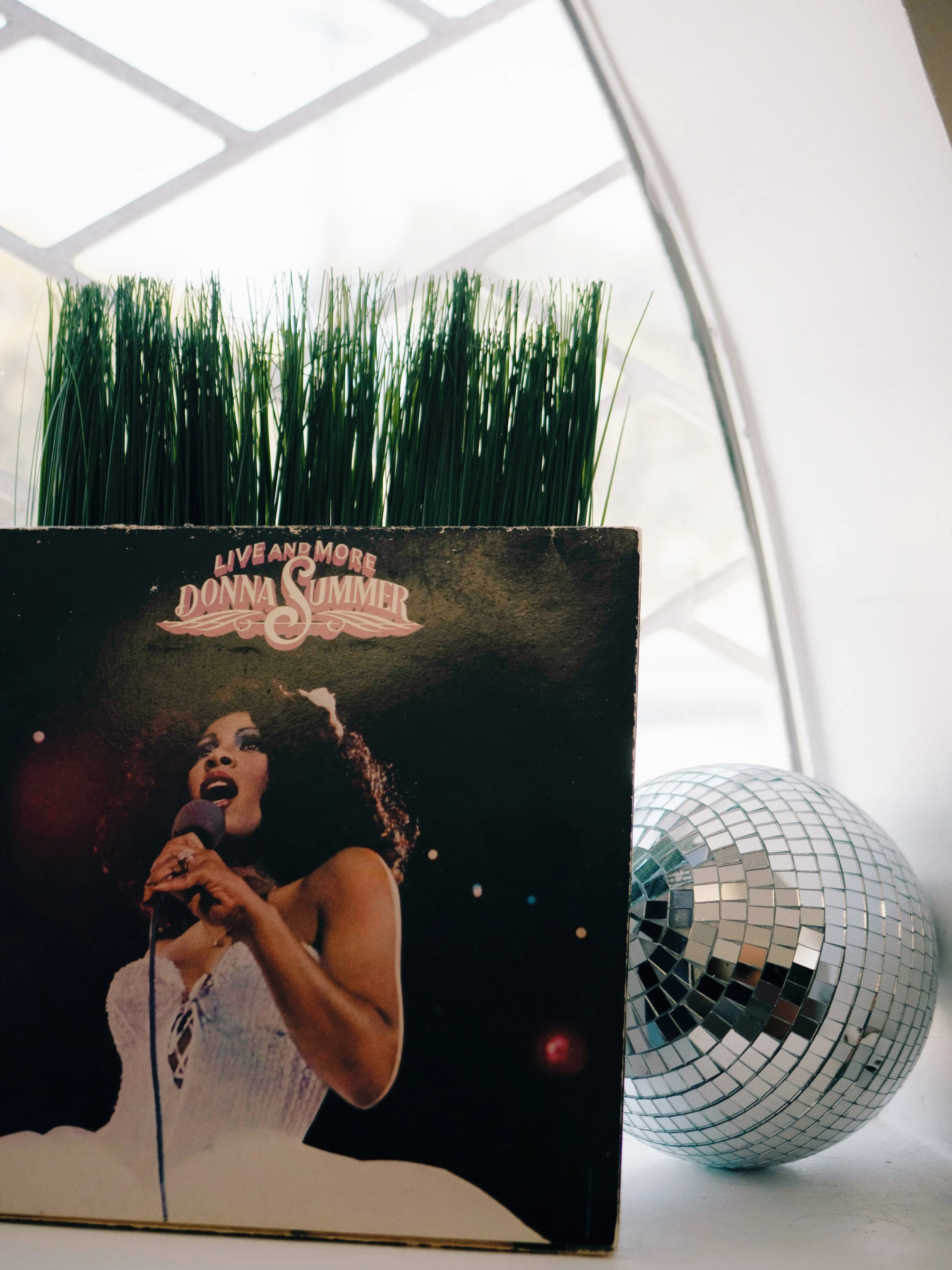 photo by Danielle Cheeseman