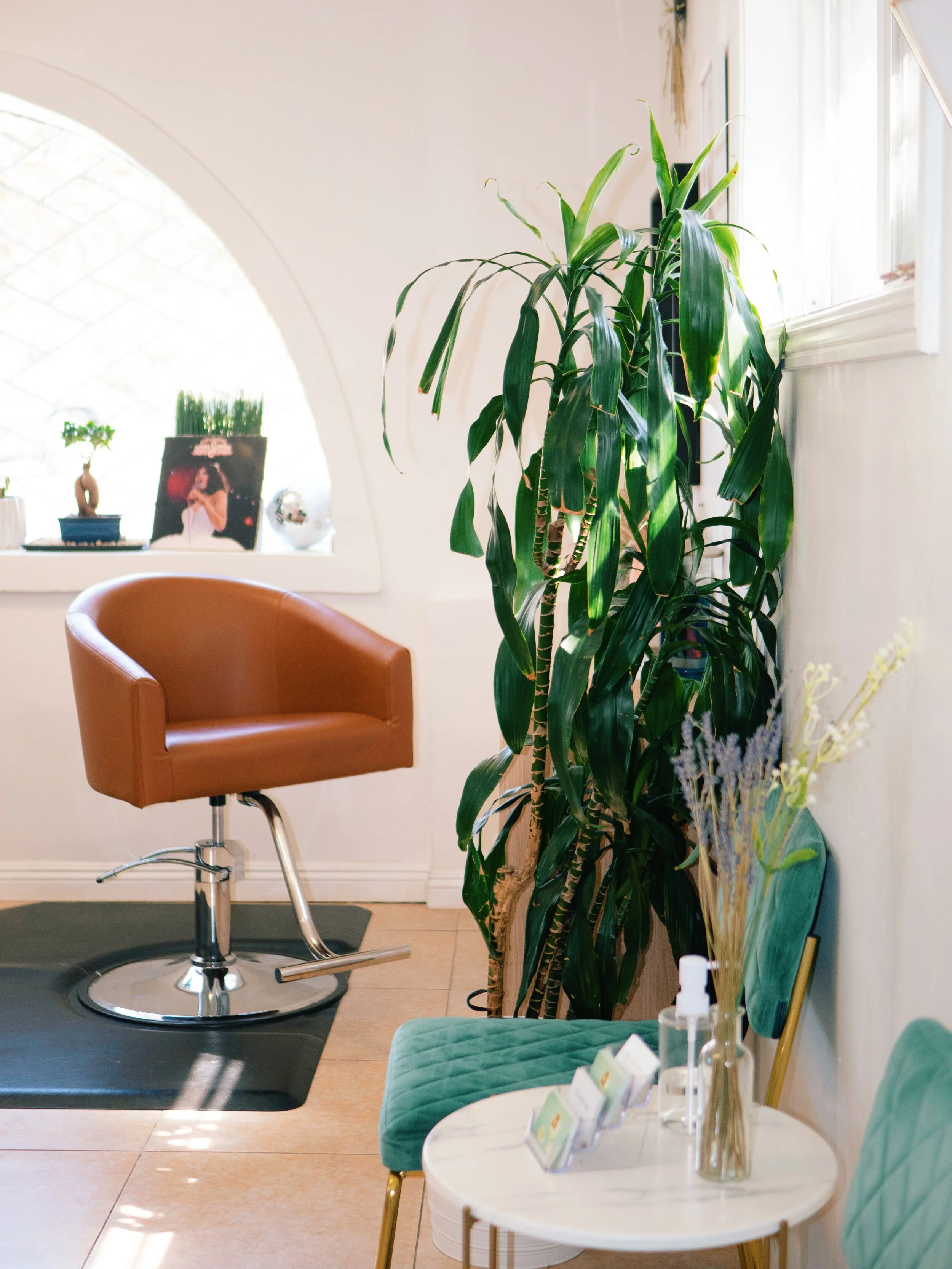 photo by Danielle Cheeseman