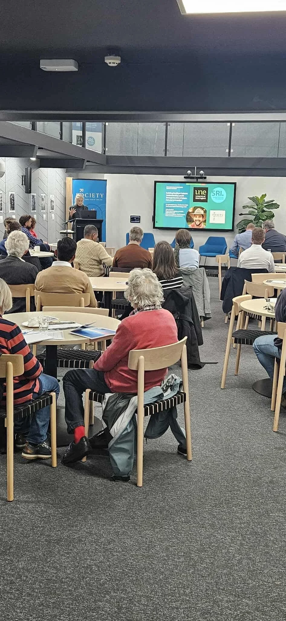youth crime 3.jpg