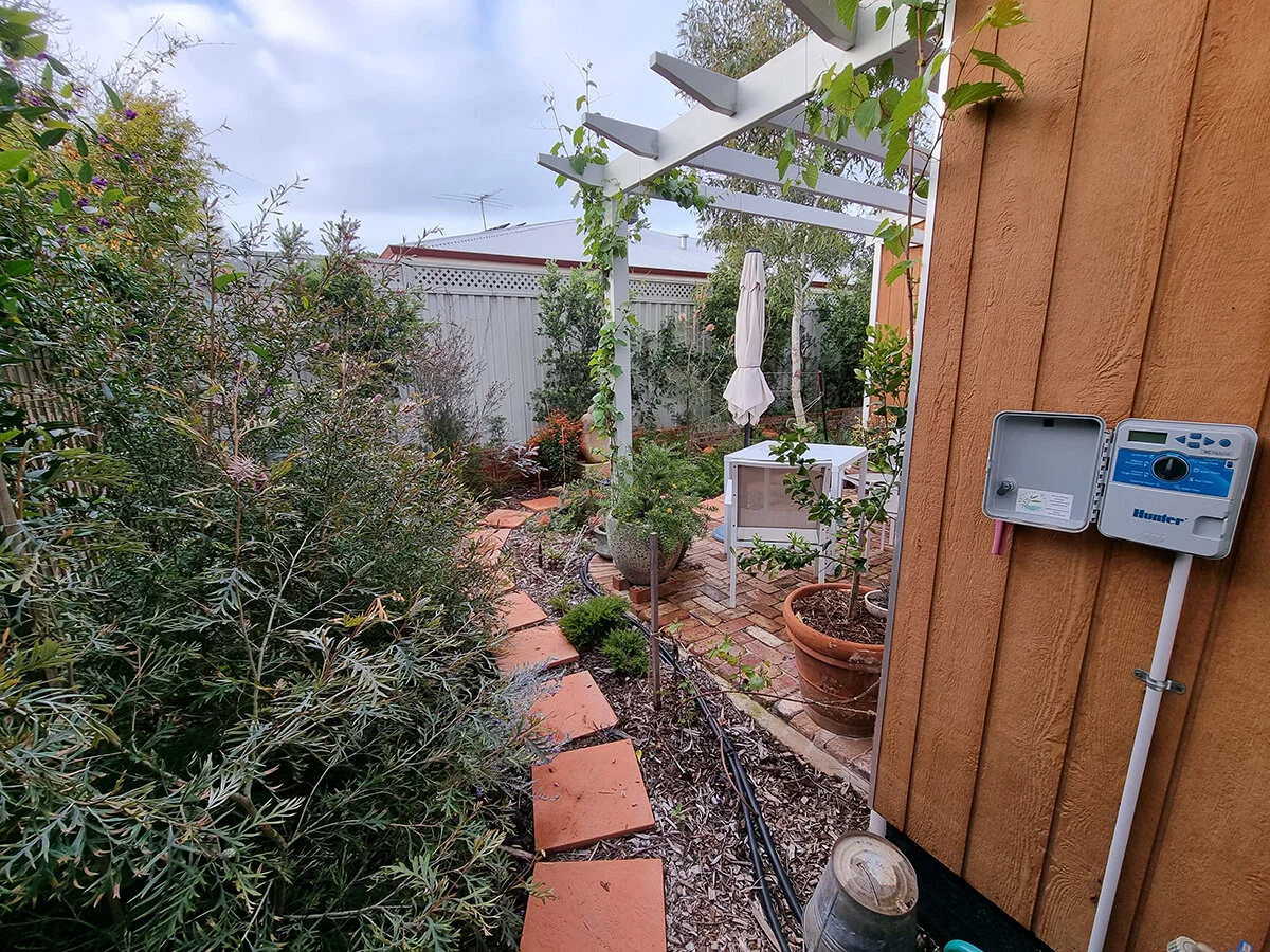 20210917_NEW170310.jpg