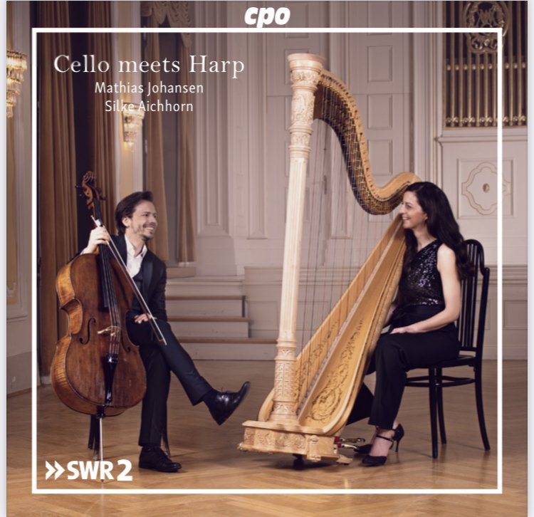 Cello Meets Harop.jpeg