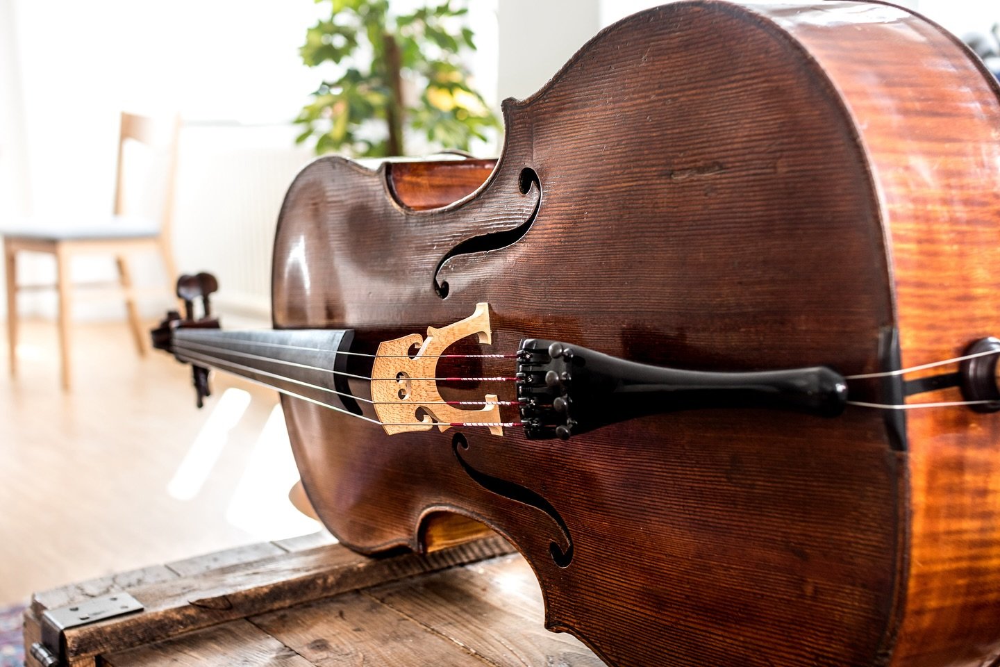 1850 and from the environment of Martin Stoss and for sale. Check my recordings to hear its beautiful soul.
.
.
.
.
.
.
#cello #cellos #cellist #music #classical #classicalmusic #musician #chambermusic #klassik #lutherie #geigenbau #violinmaker #hist