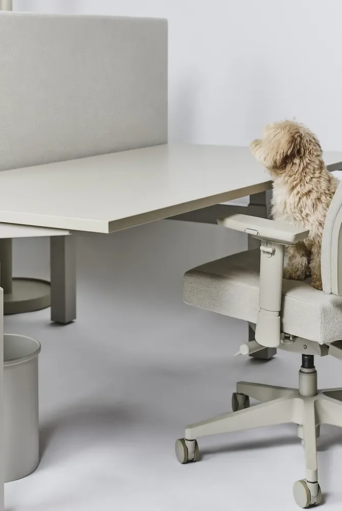 #ElLenguajeDelColor: Historia del gris: el color de la sombra, de lo neutro, de la materia.