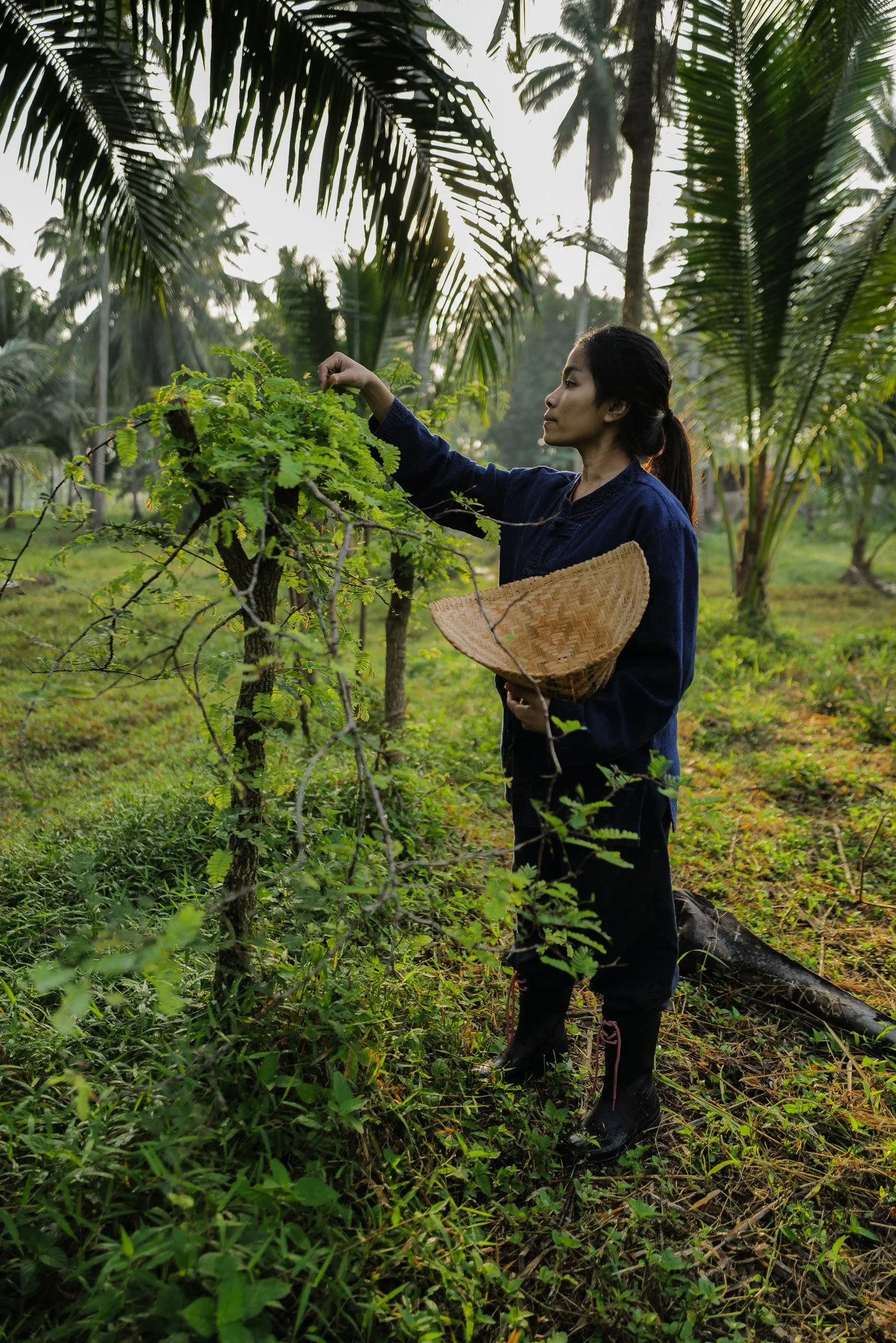 Amy picking fresh herbs in her kitchen garden in Sichon, Thailand
