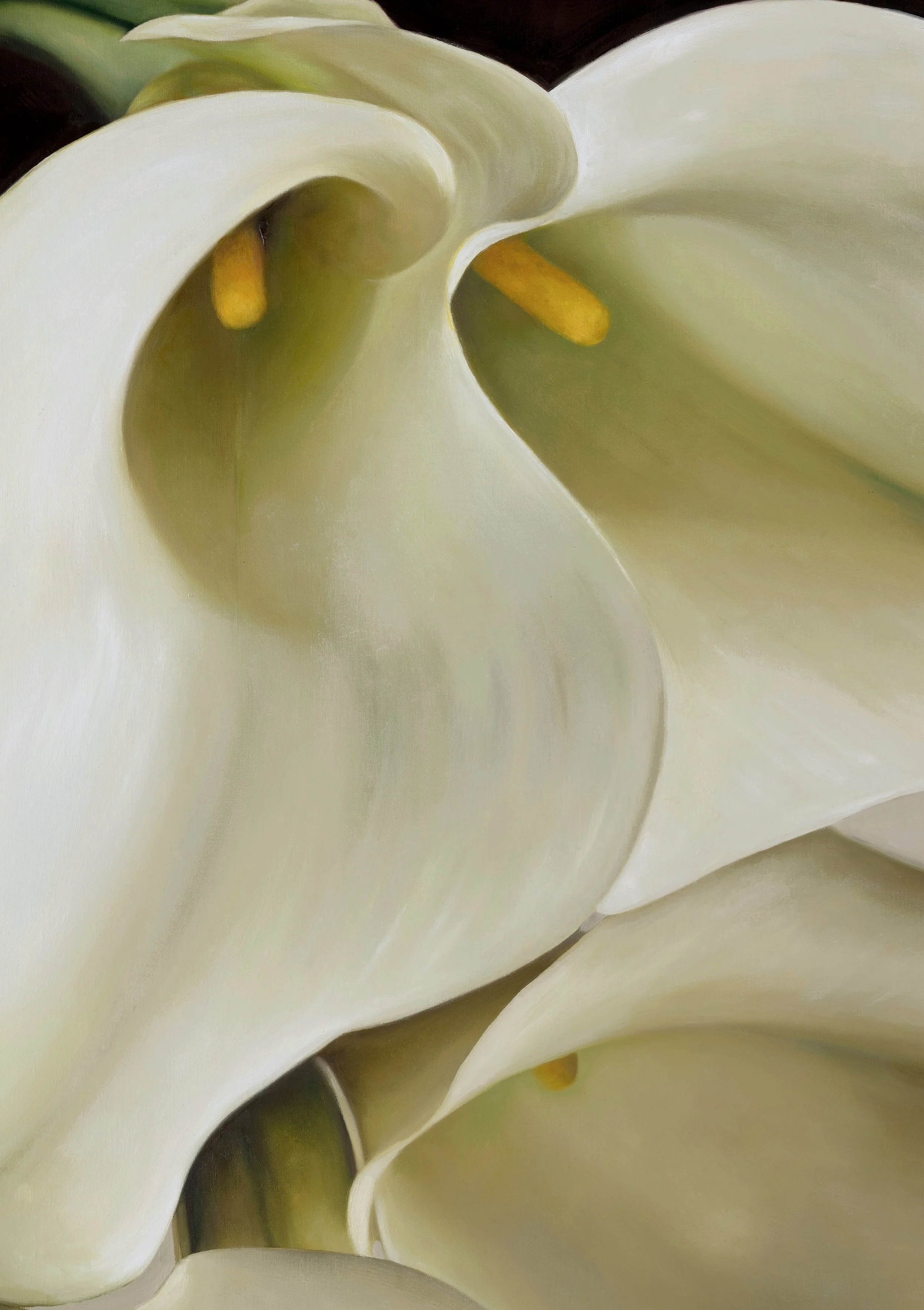 HOW TO SOFTEN copy 2.jpg