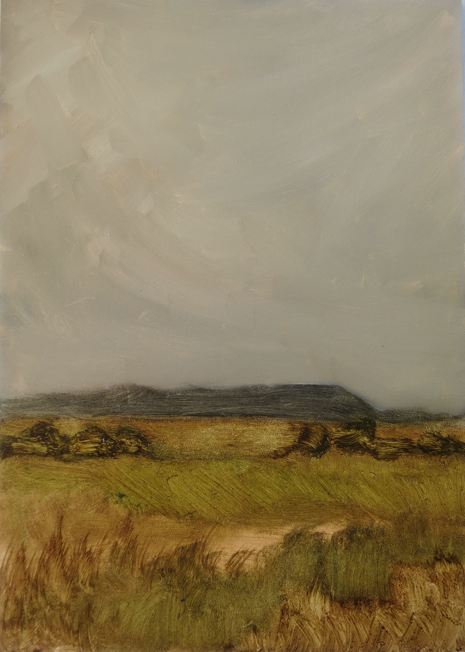 Fragment #20, 2022, oil on board, 15.3 x 20.4cm (framed size), custom framed in reclaimed hardwood