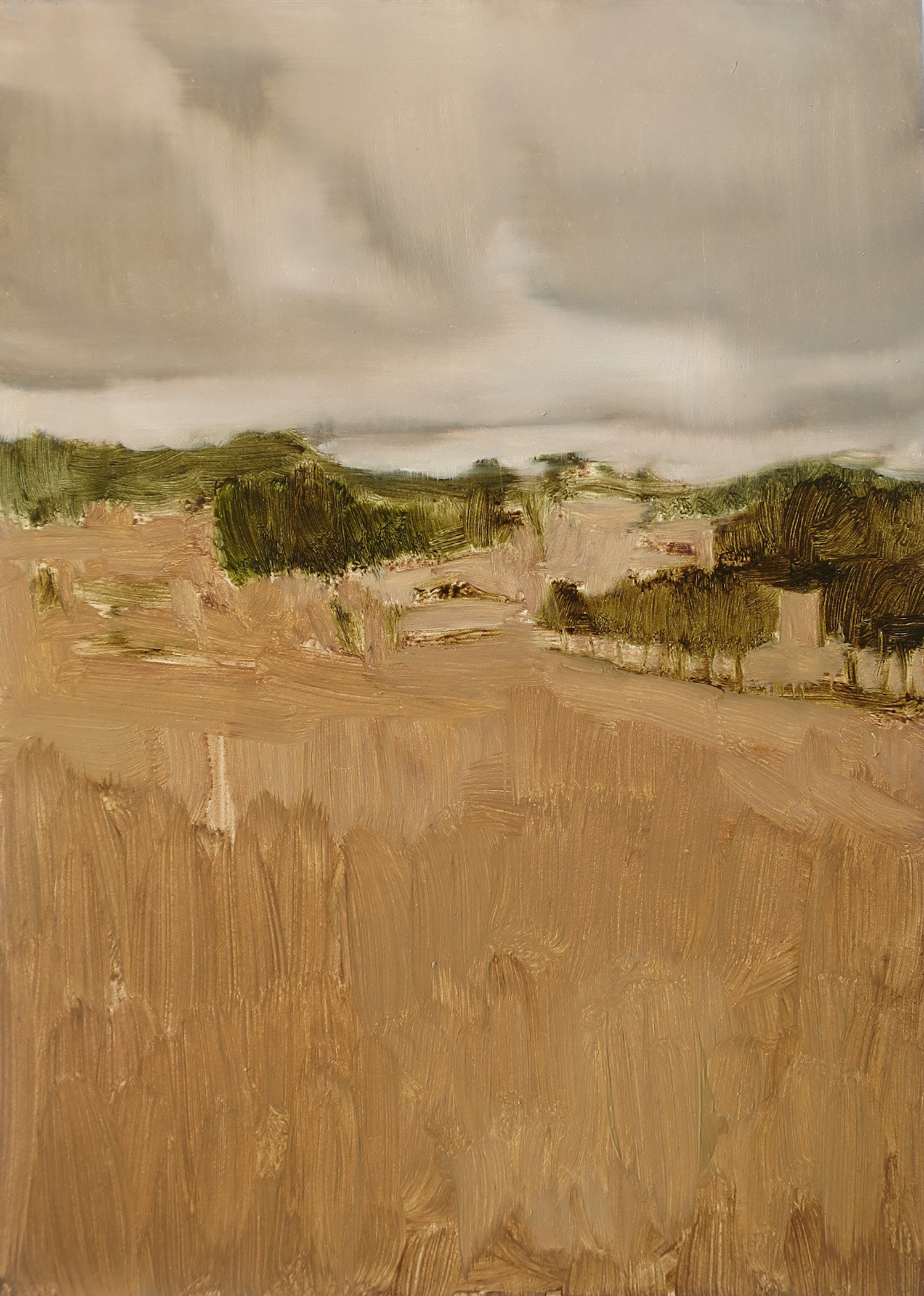 Fragment #9, 2022, oil on board, 15.3 x 20.4cm (framed size), custom framed in reclaimed hardwood