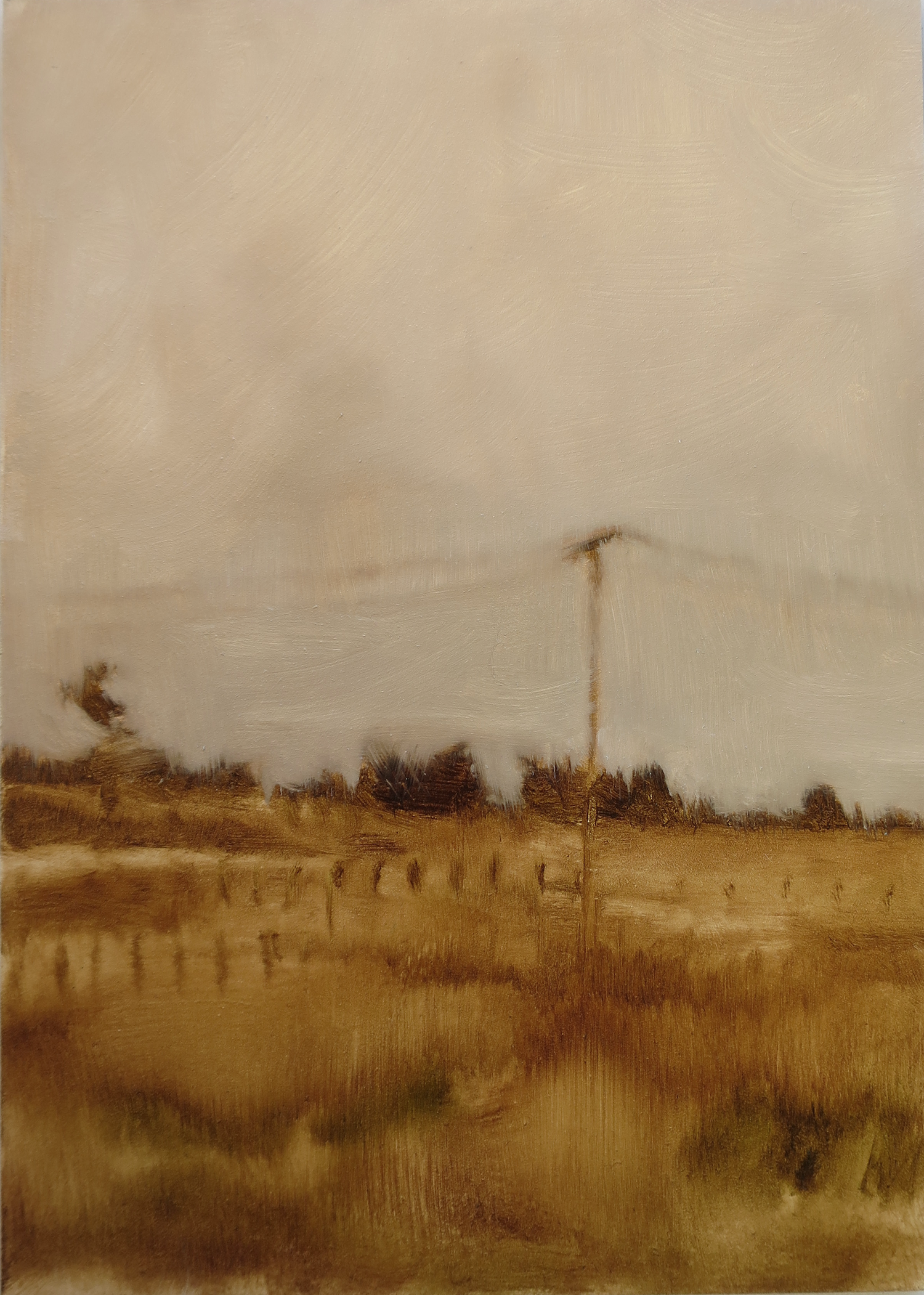 Fragment #11, 2022, oil on board, 15.3 x 20.4cm (framed size), custom framed in reclaimed hardwood