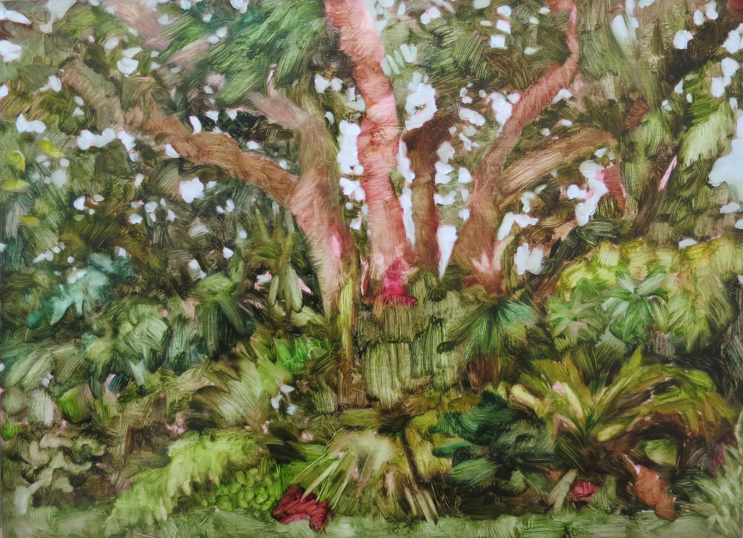 Barbara & Jan's garden 2022, oil on board, 30 x 40cm