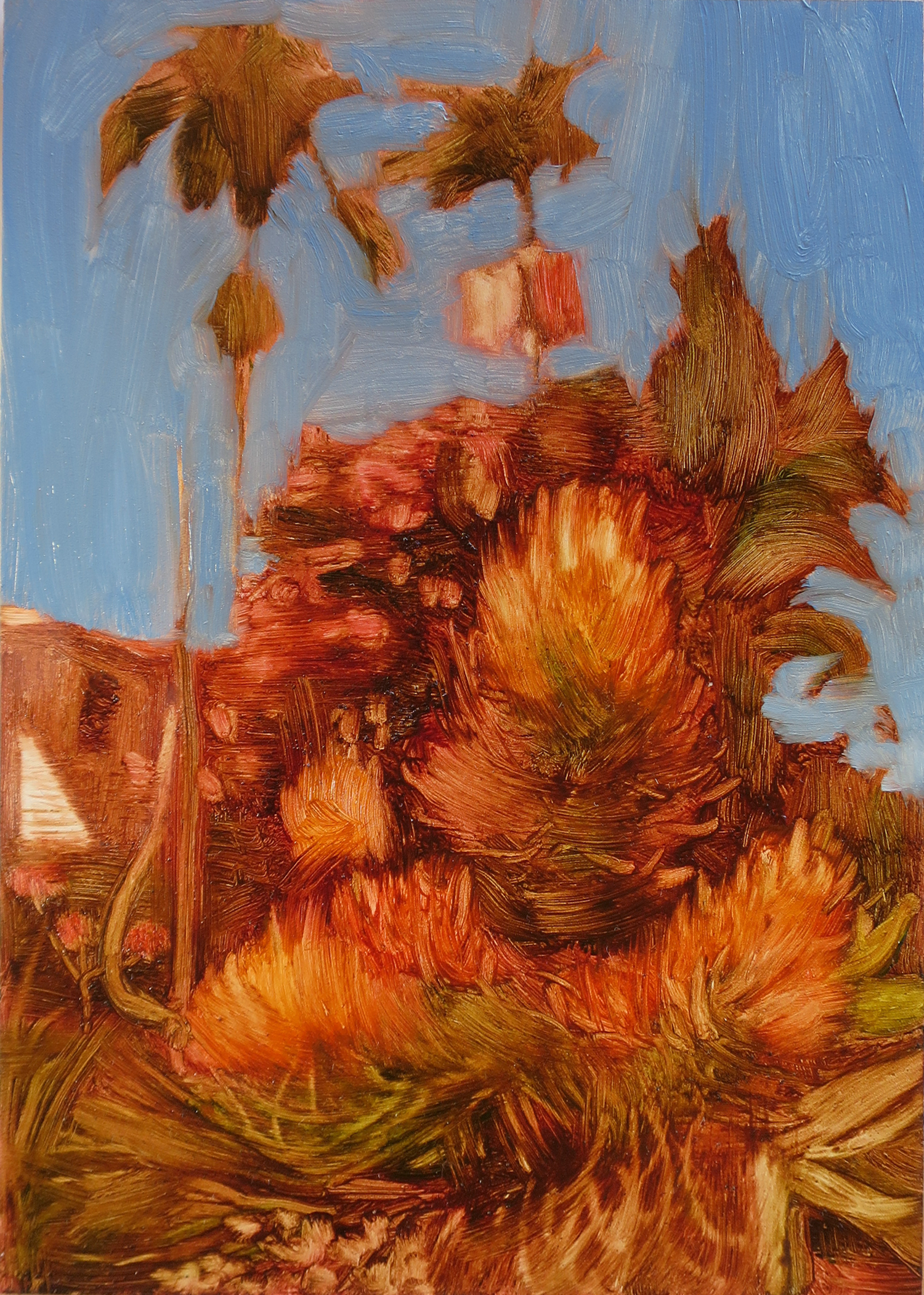 Barbara & Jan’s garden (orange) 2022, oil on board, 17.8 x 12.7cm