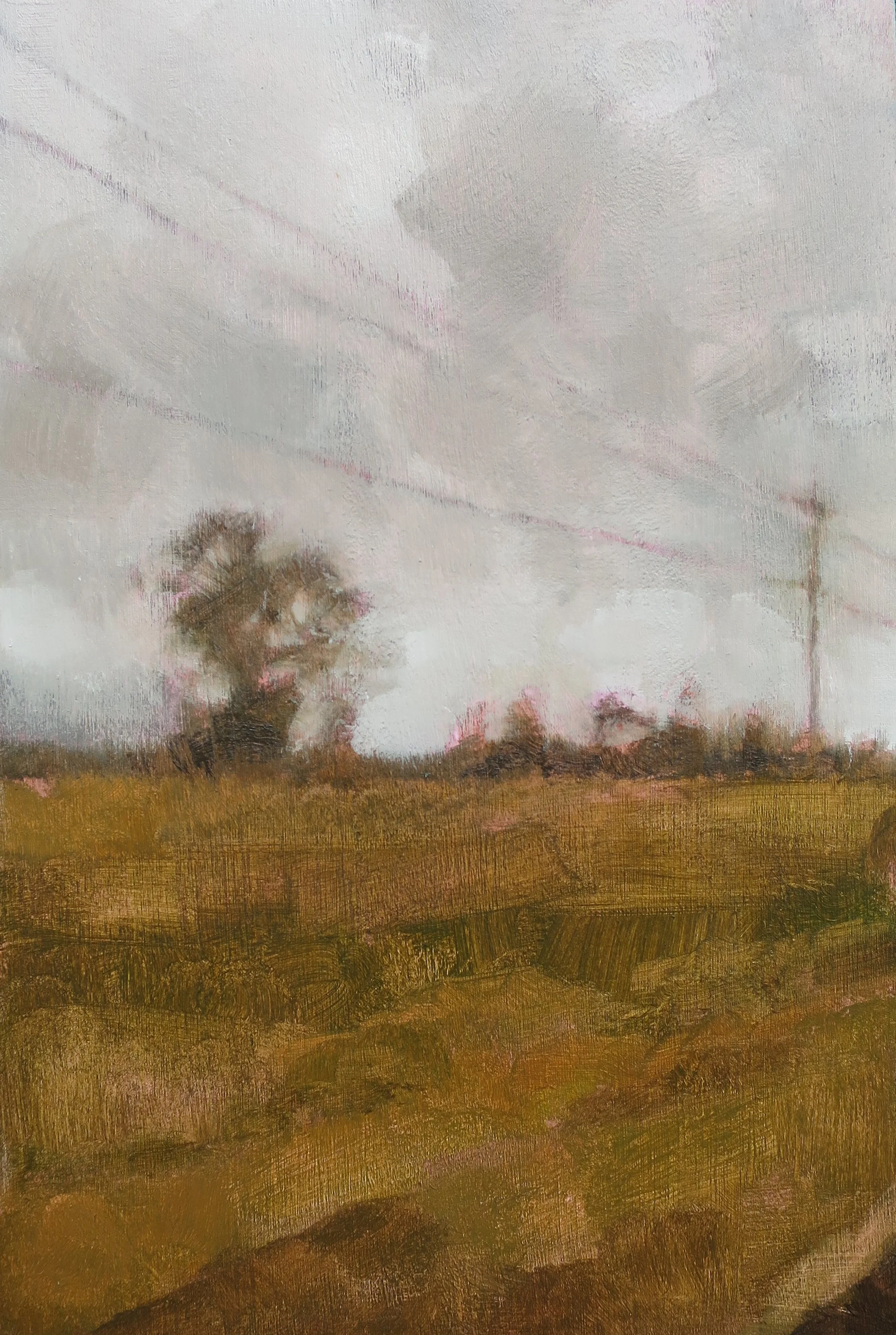 Road to Kyogle 2022, oil on board, 25.5 x 17cm