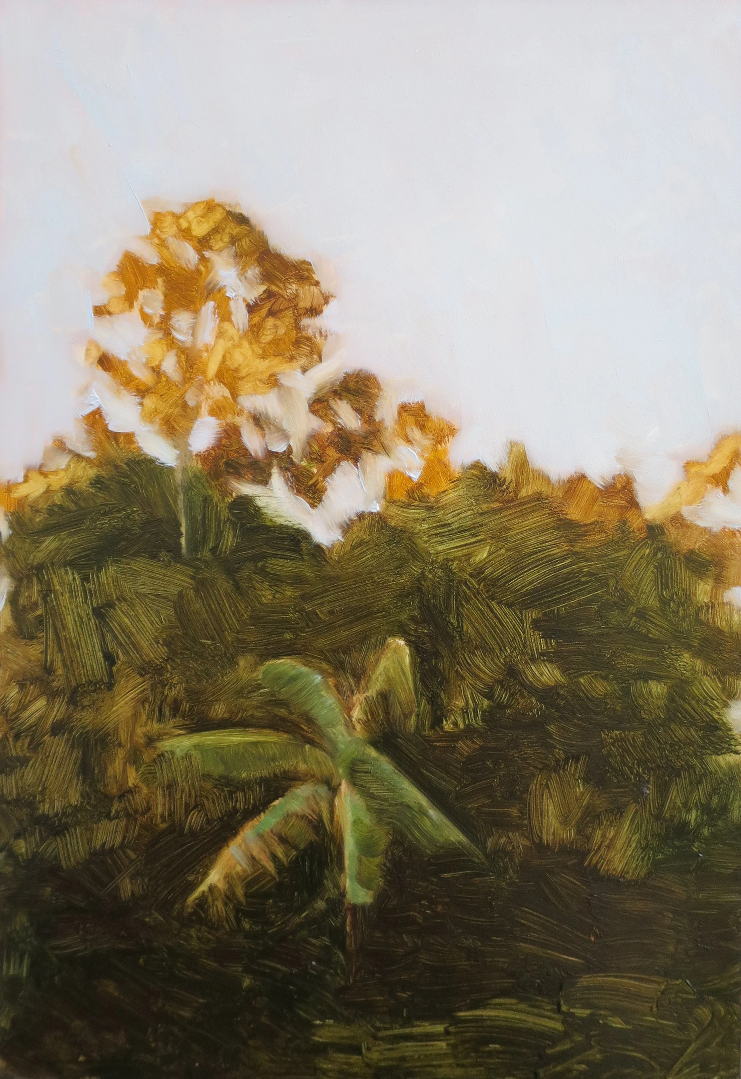From the balcony after an earthquake, 5pm light 2022, oil on board, 23 x 15cm