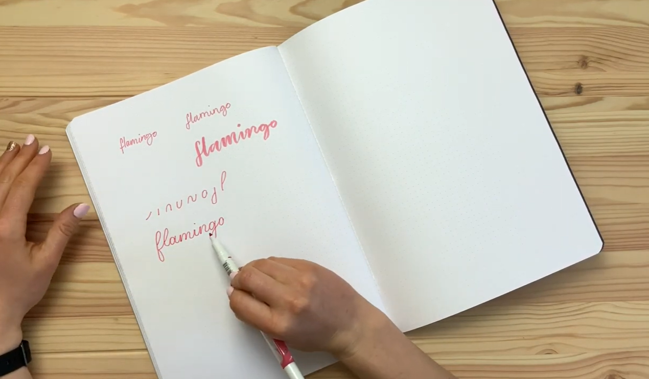 The word flamingo drawn letter-by-letter using basic calligraphy strokes