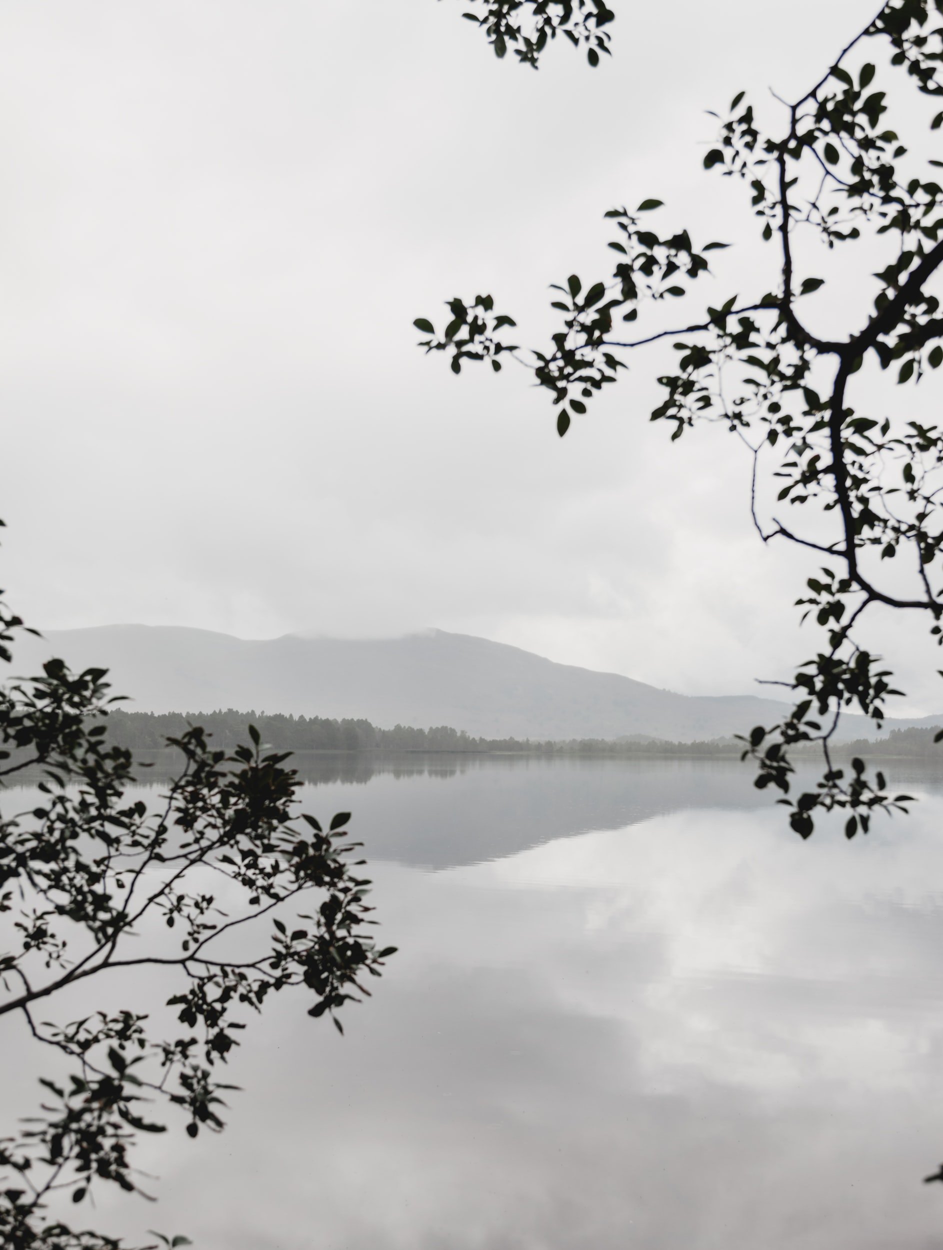 A foggy lake scene with mountain silhouettes in the background, framed by dark tree branches and leaves.