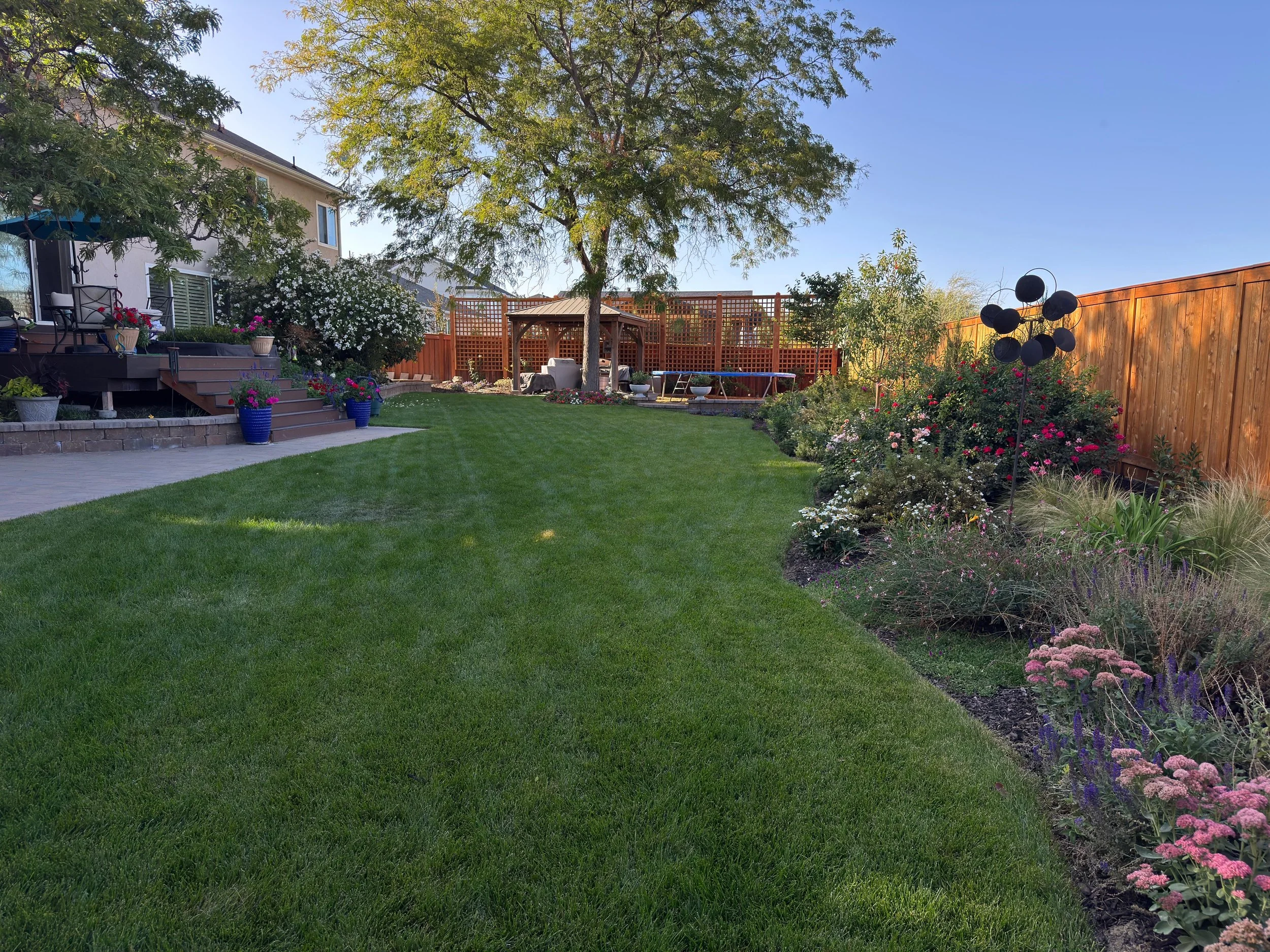 Lush Garden Backyards